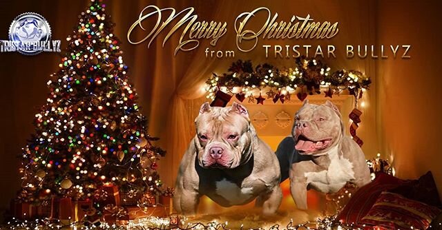 Merry Christmas friends and family!! #tristarbullyz #Christmas #tullahoma #family