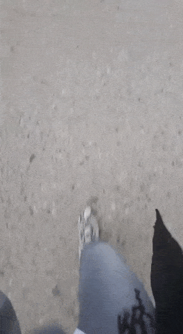 Reflection of the Year 2020: 5 Lessons Learned