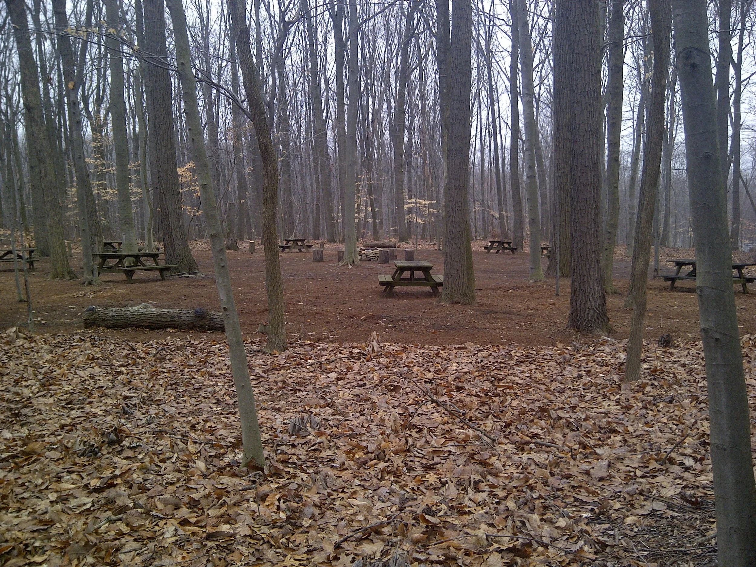 IMG-20120316-00356.jpg