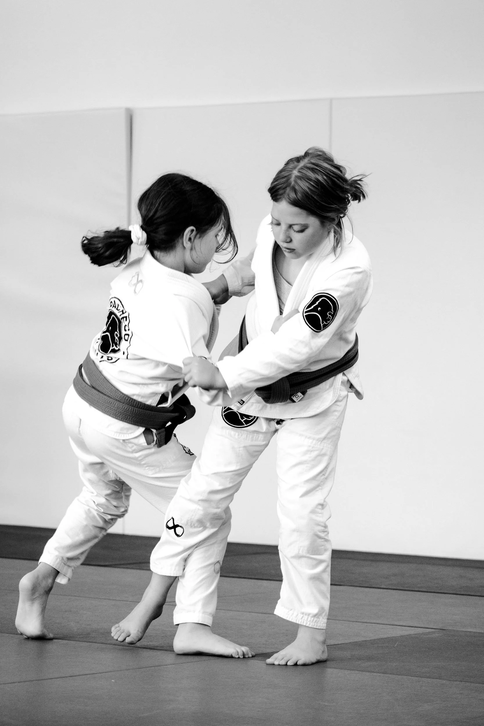 Junior Brazilian Jiu-Jitsu training at Pacheco Jiu-Jitsu Avalon

