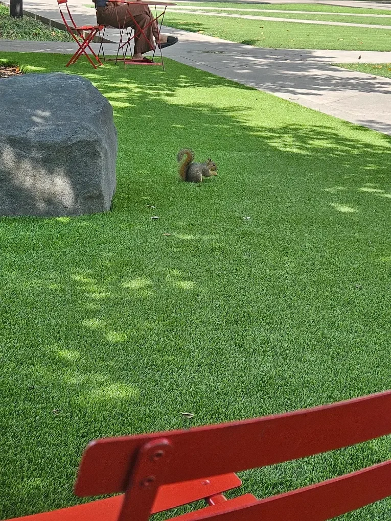 Youth Picnic in the Park