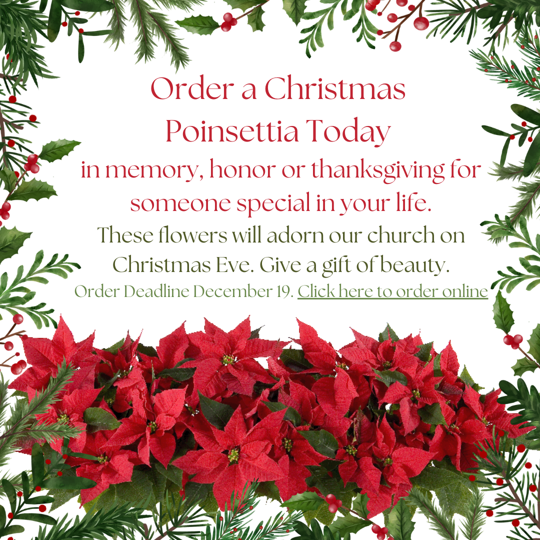 Poinsettias order ad wi link (1).png