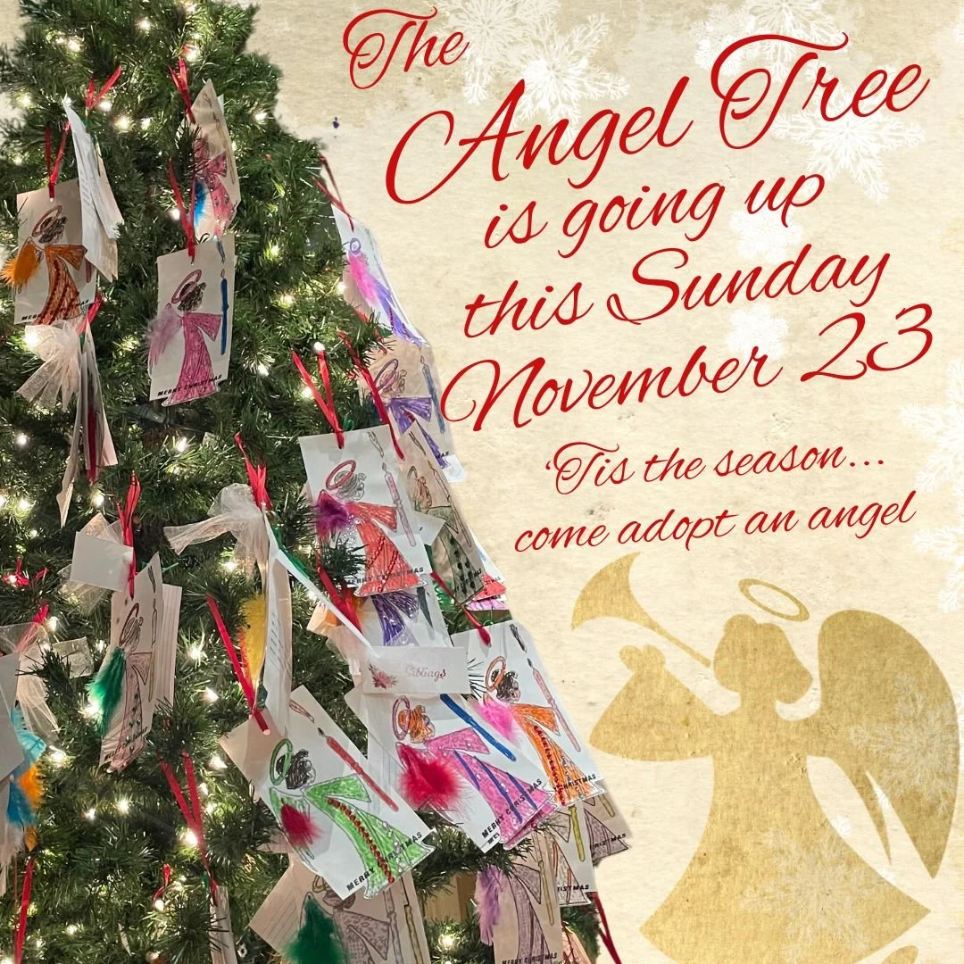 angel tree 1025.jpg