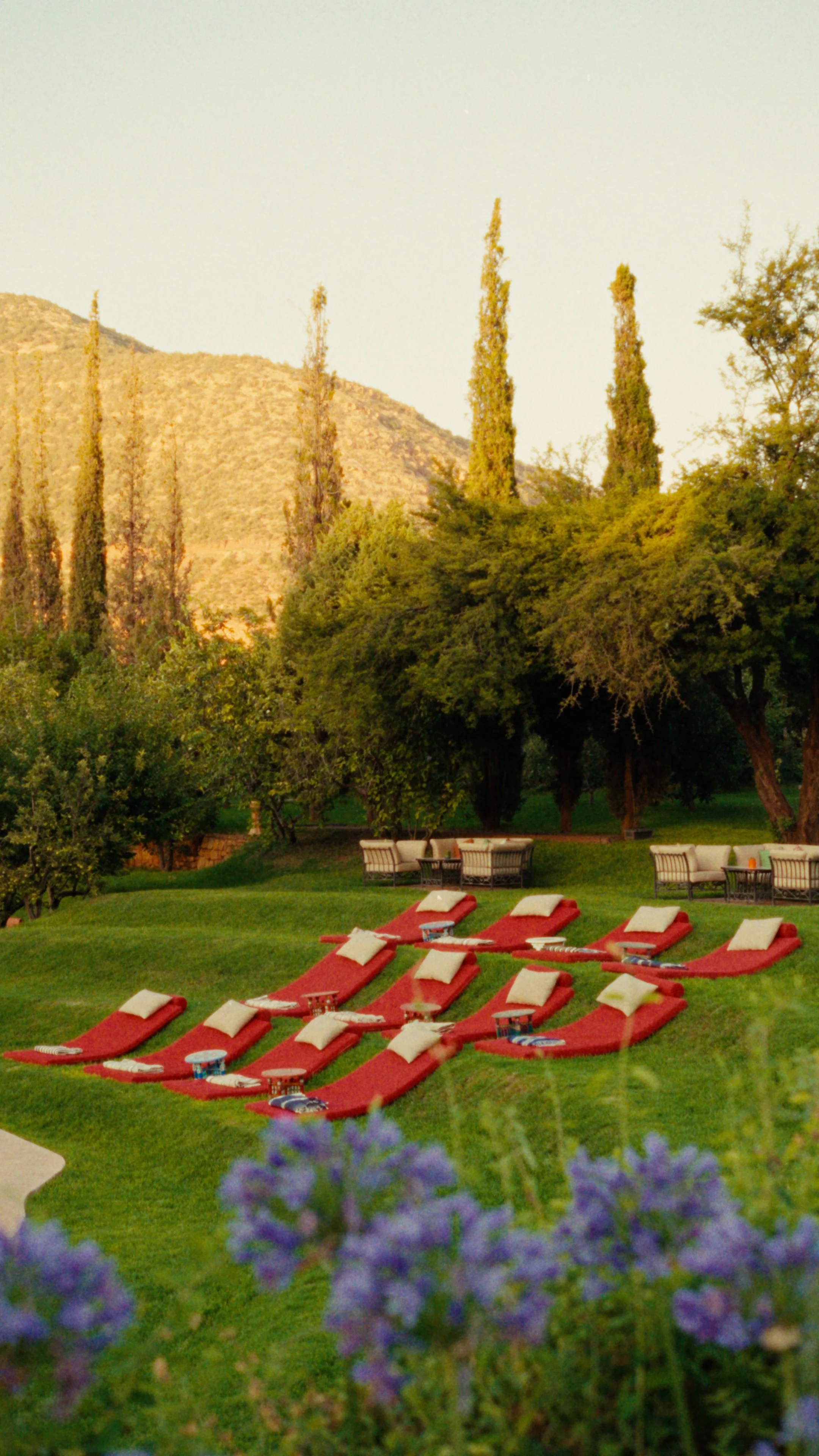 KASBAH TARADOT.00_02_17_18.Still017.jpg