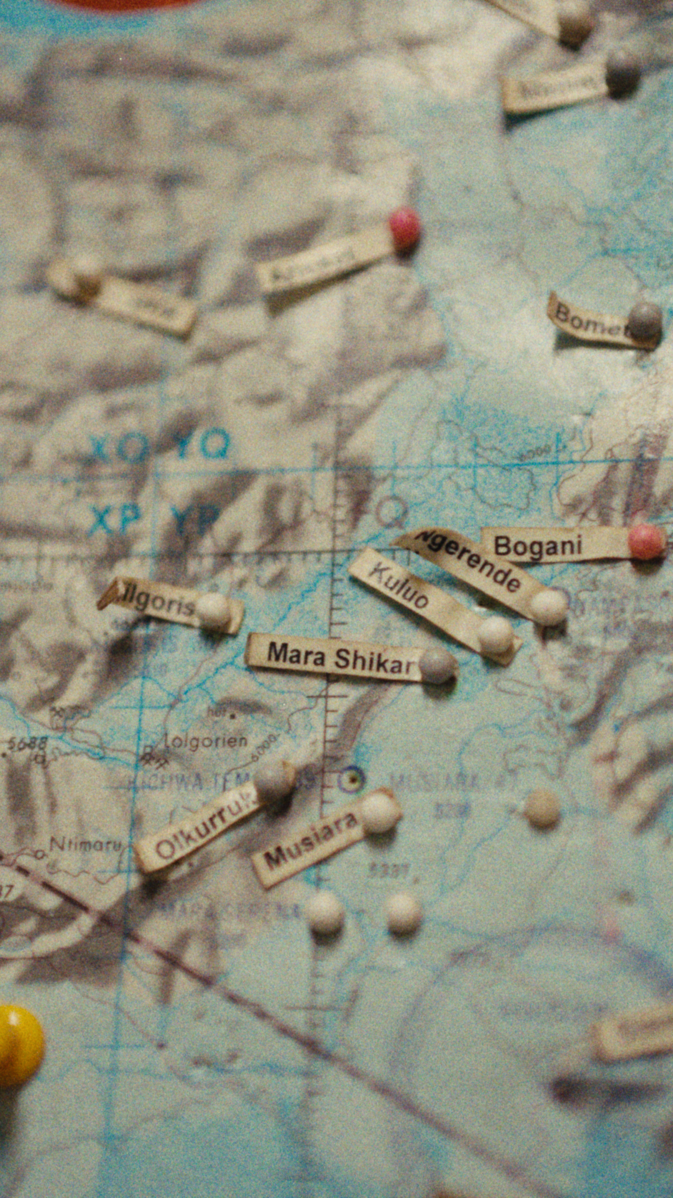 STILLS.00_14_42_19.Still015.png