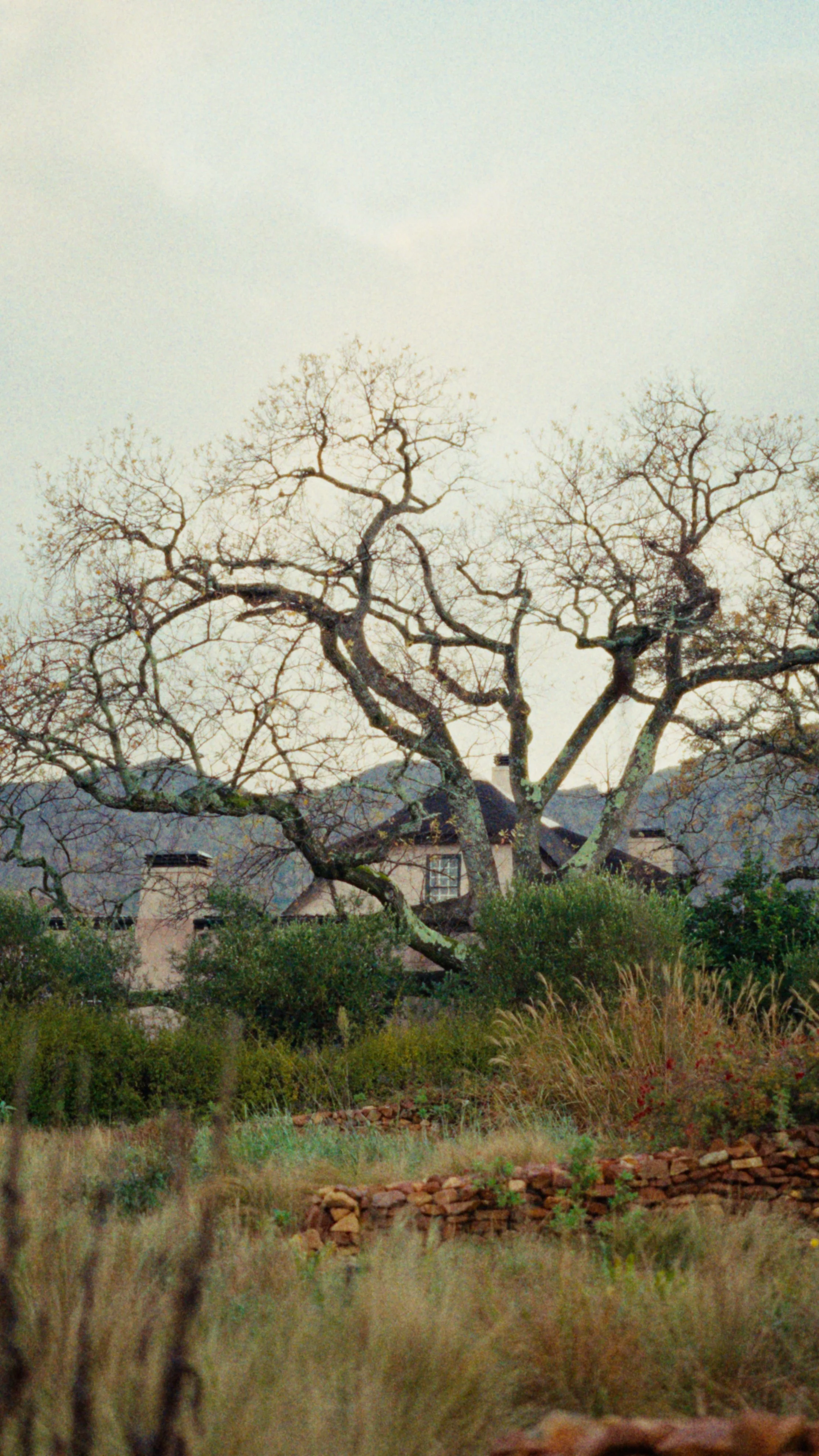 C8749.00_00_39_22.Still004.jpg