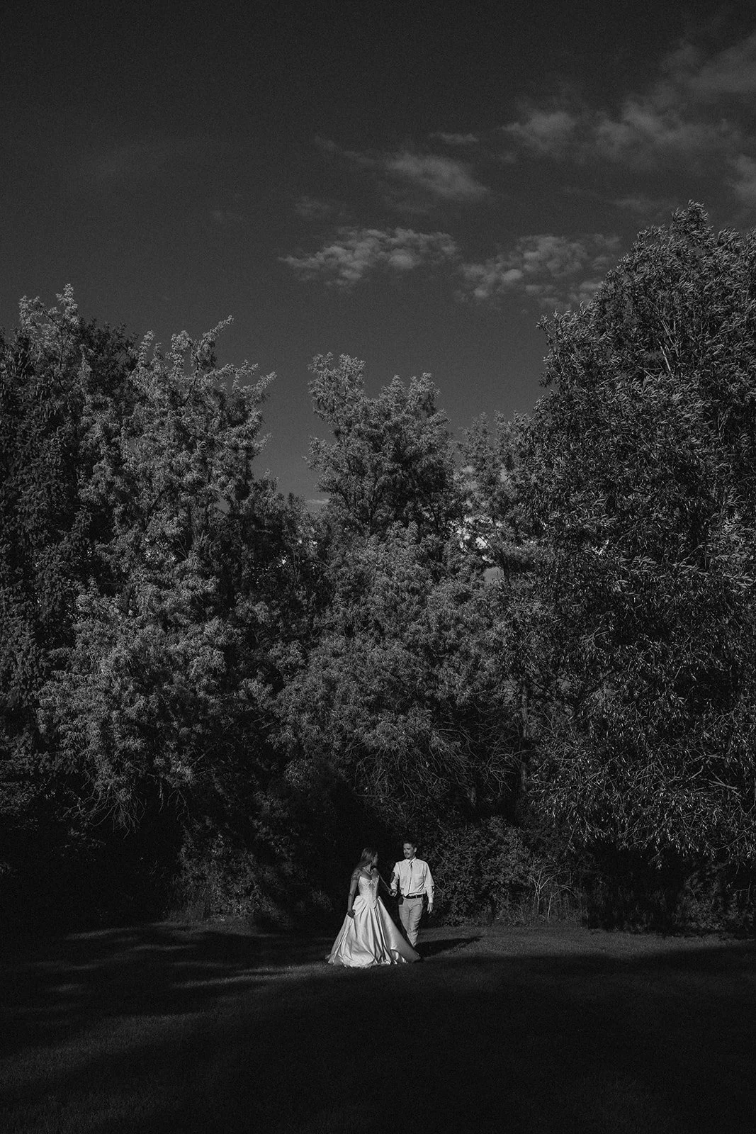 Montana wedding photographer, Helena wedding, Shades of Green