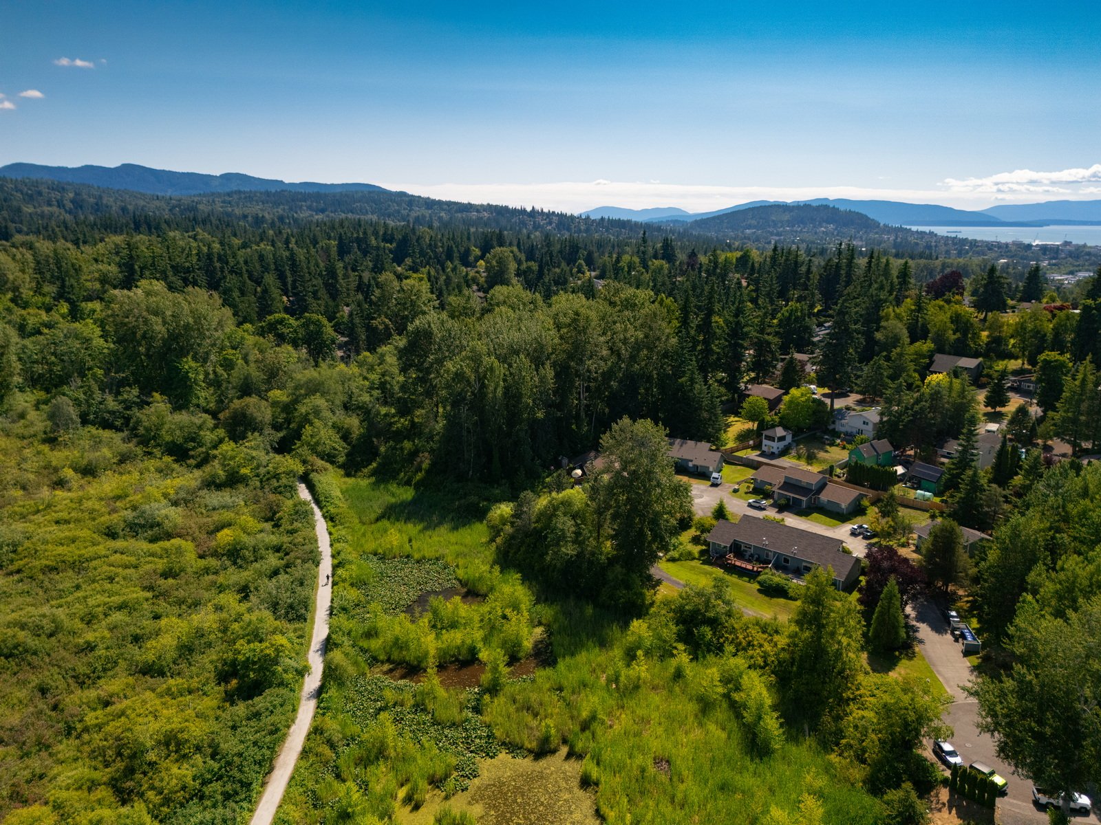 006_2315_Fir_St_AERIAL_Jacson_Bevens.jpg