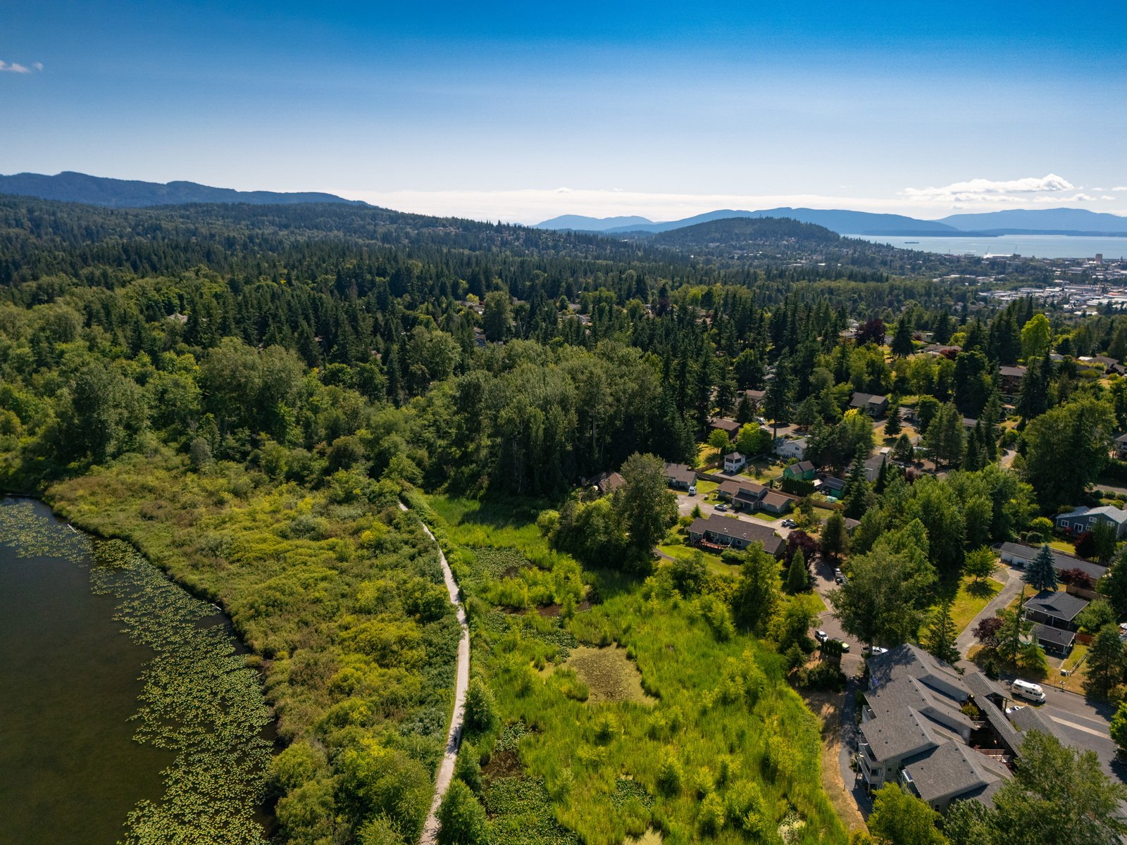 009_2315_Fir_St_AERIAL_Jacson_Bevens.jpg