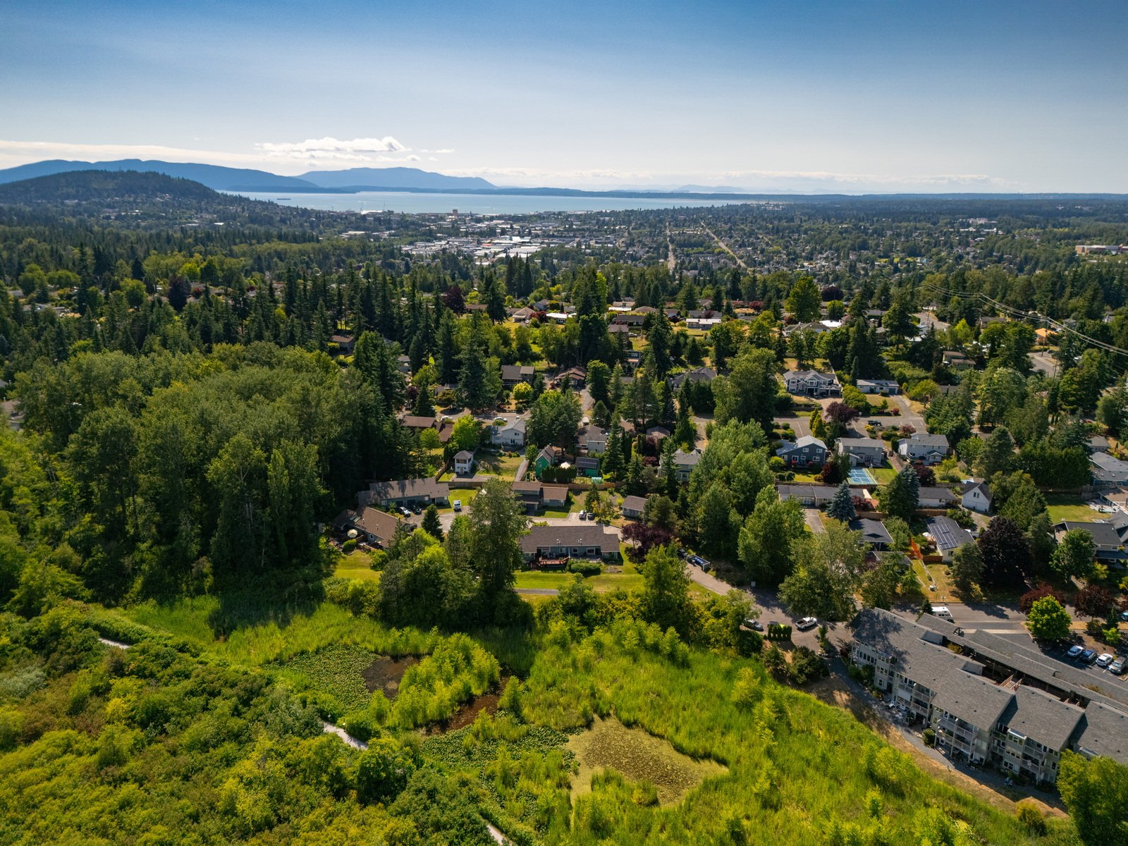 010_2315_Fir_St_AERIAL_Jacson_Bevens.jpg