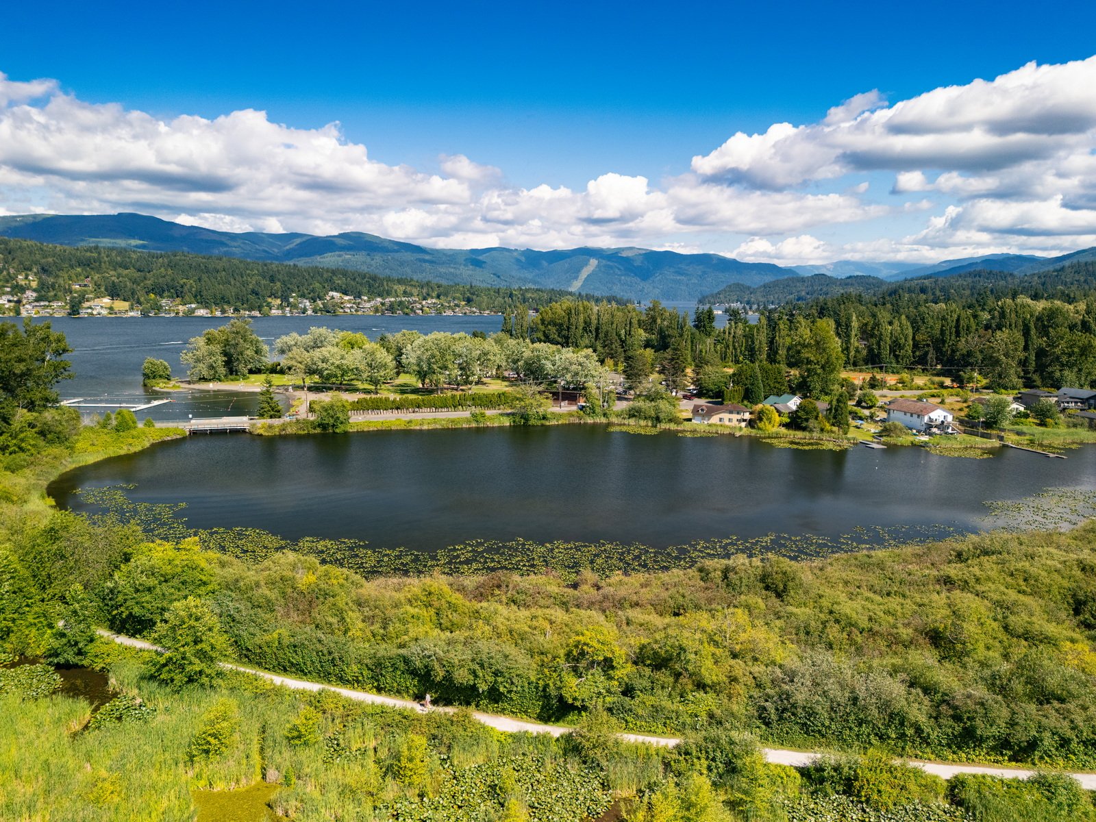 013_2315_Fir_St_AERIAL_Jacson_Bevens.jpg
