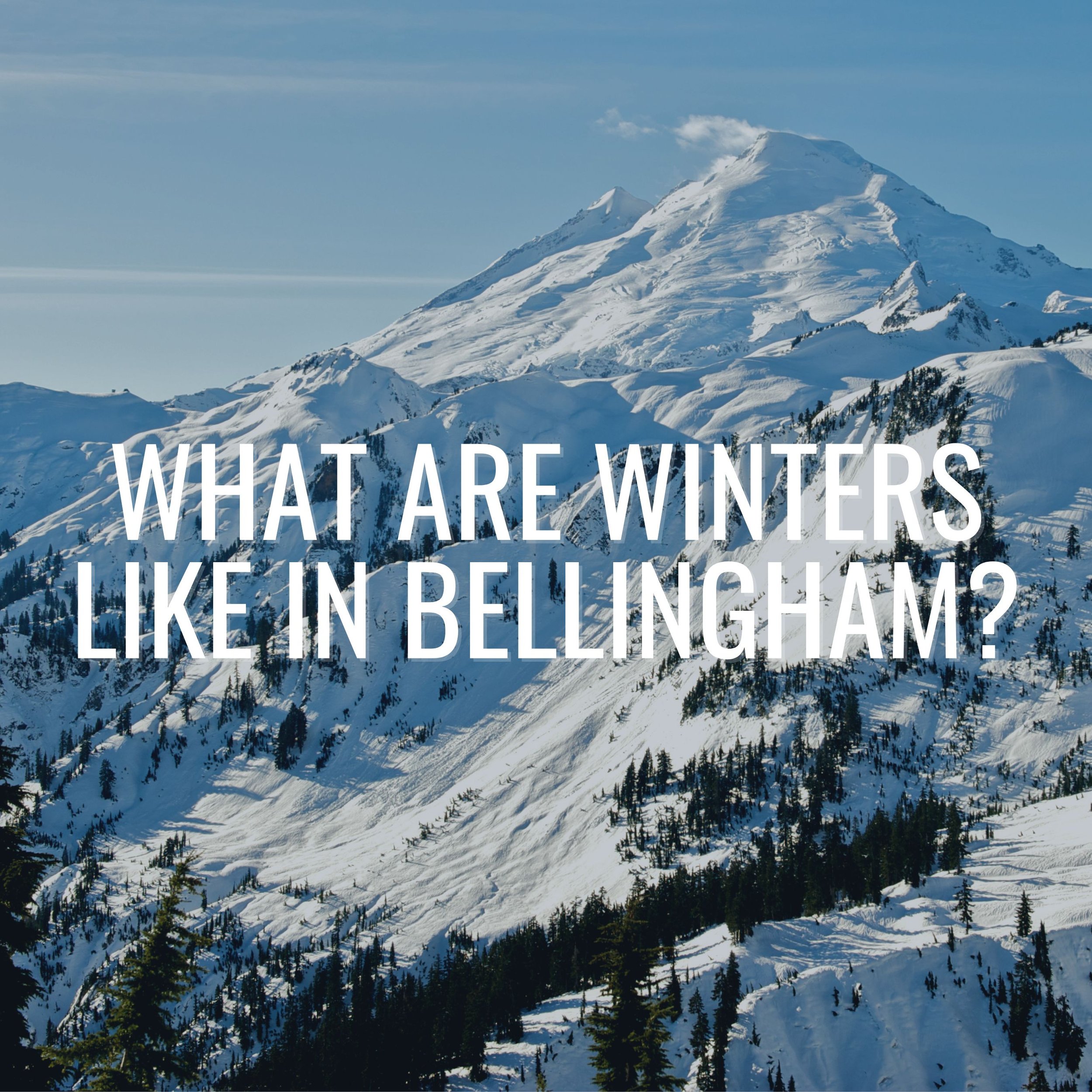What Are Winters Like in Bellingham?