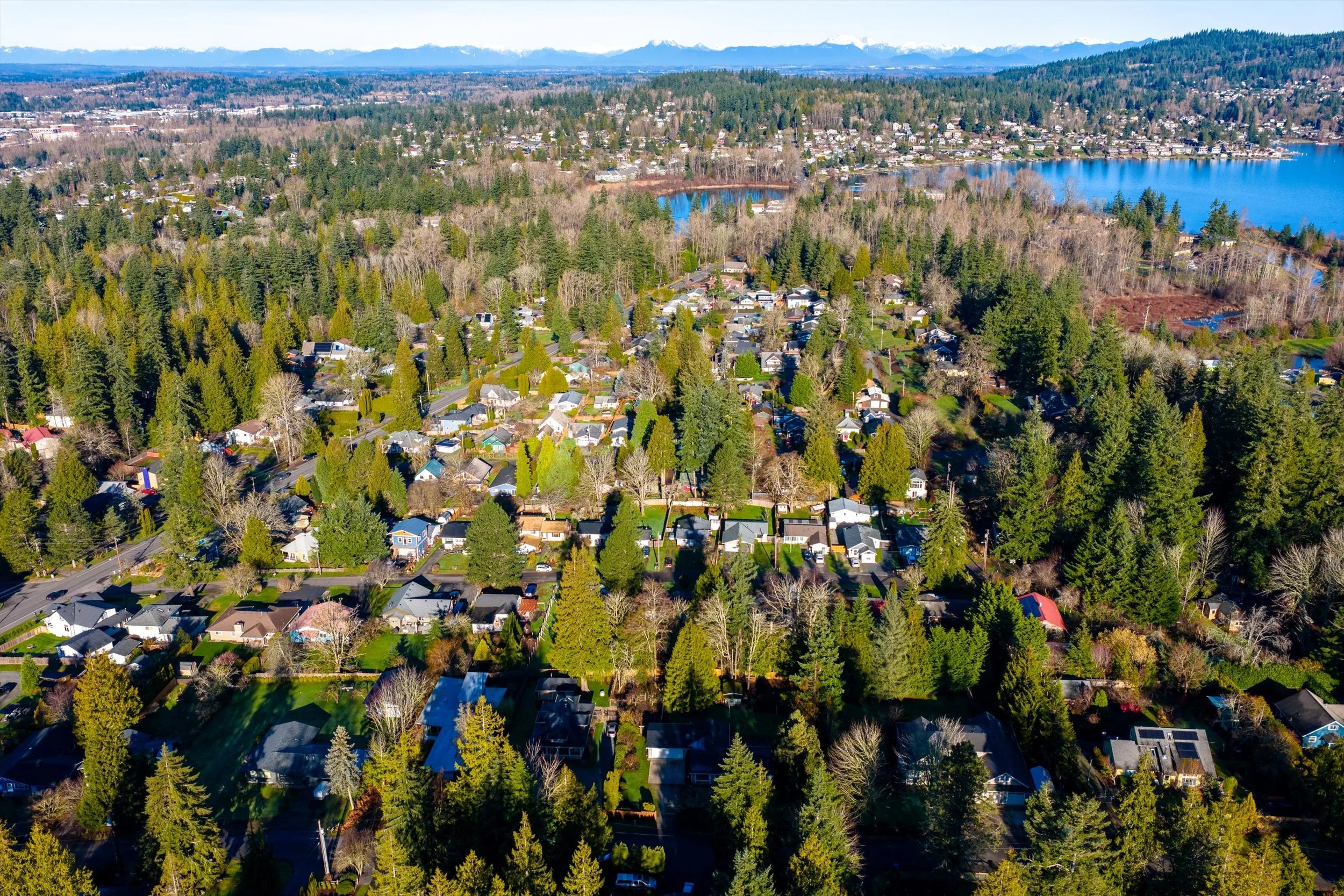 19-3811 York St drone (3).jpg