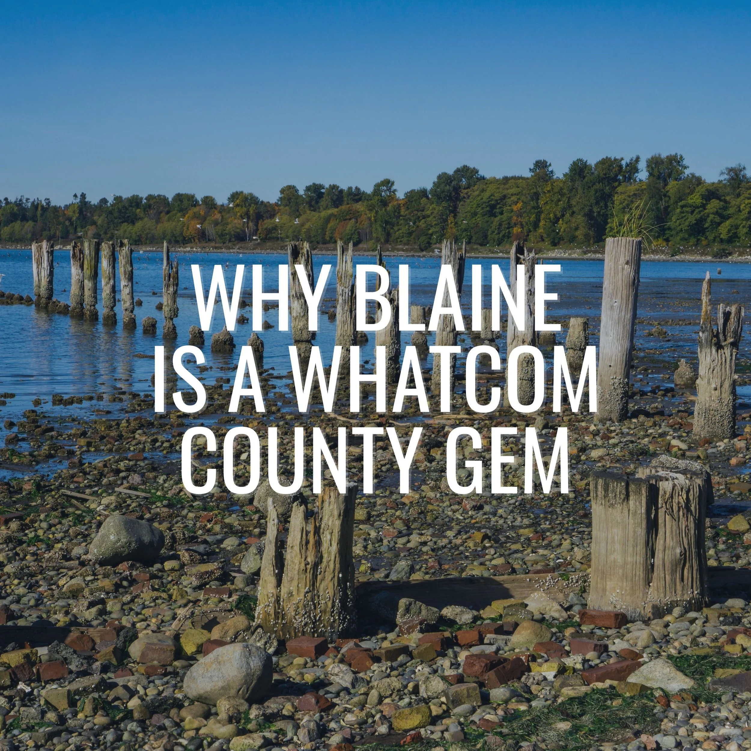 Why Blaine Is a Whatcom County Gem