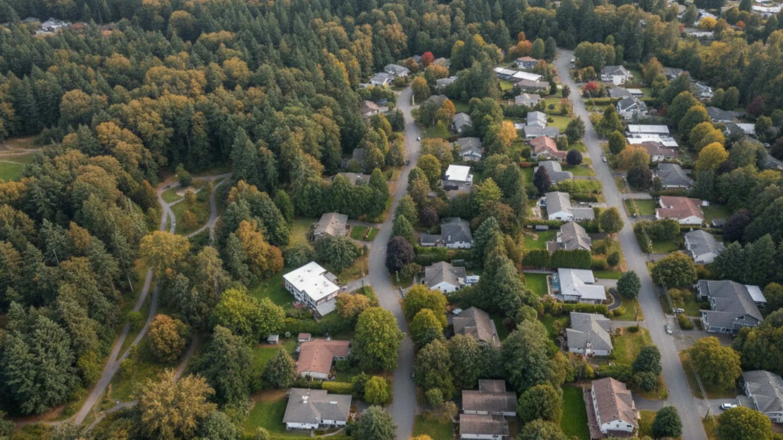 Whatcom Falls Bellingham, WA Area Guide: Market Insights for Buyers in 2026