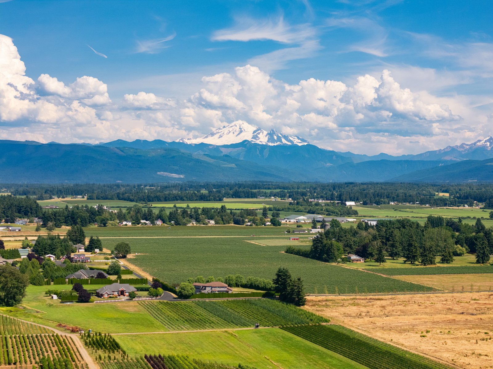 001_6618_Baker_Ridge_Dr_AERIAL_Paulina_Antczak.jpg