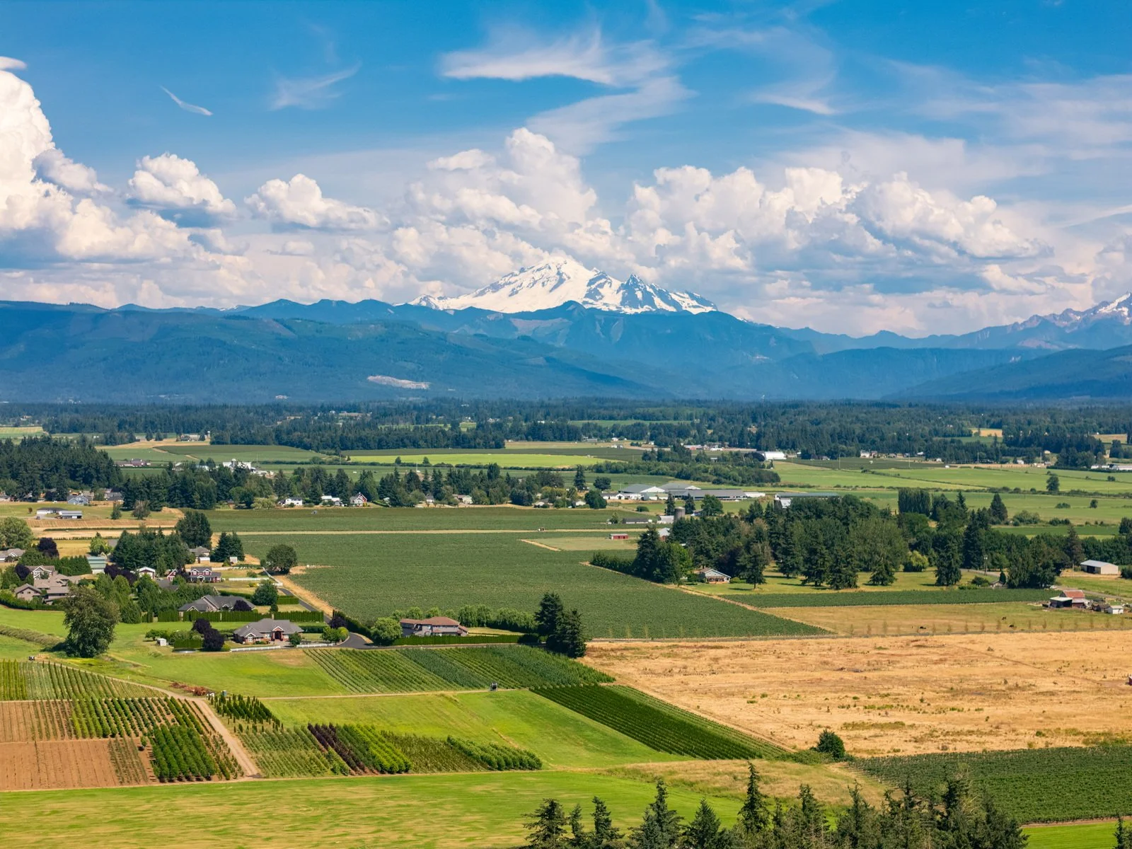 007_6618_Baker_Ridge_Dr_AERIAL_Paulina_Antczak.jpg
