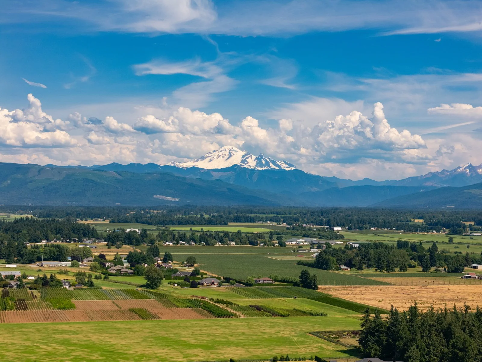 010_6618_Baker_Ridge_Dr_AERIAL_Paulina_Antczak.jpg