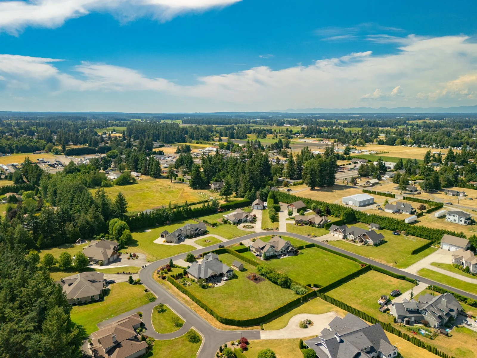 019_6618_Baker_Ridge_Dr_AERIAL_Paulina_Antczak.jpg