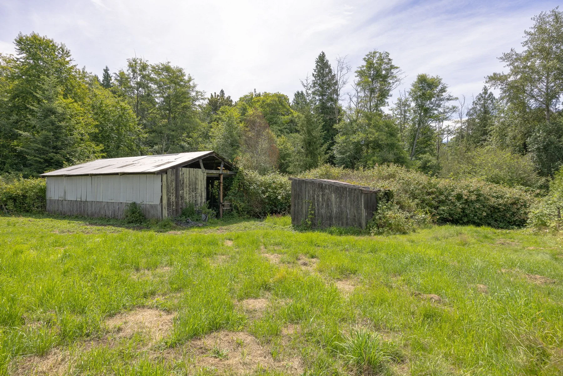 012_2861_Douglas_Rd_Jacson_Bevens.jpg