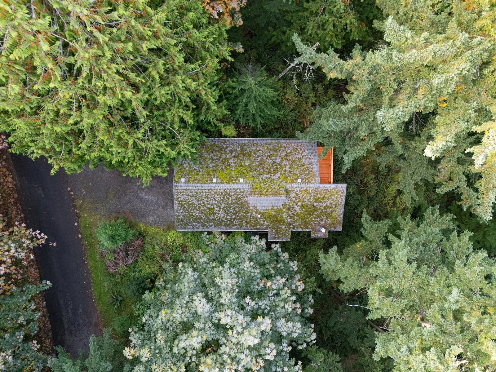 002_66_Louise_View_DR_AERIAL_Jacson_Bevens.jpg
