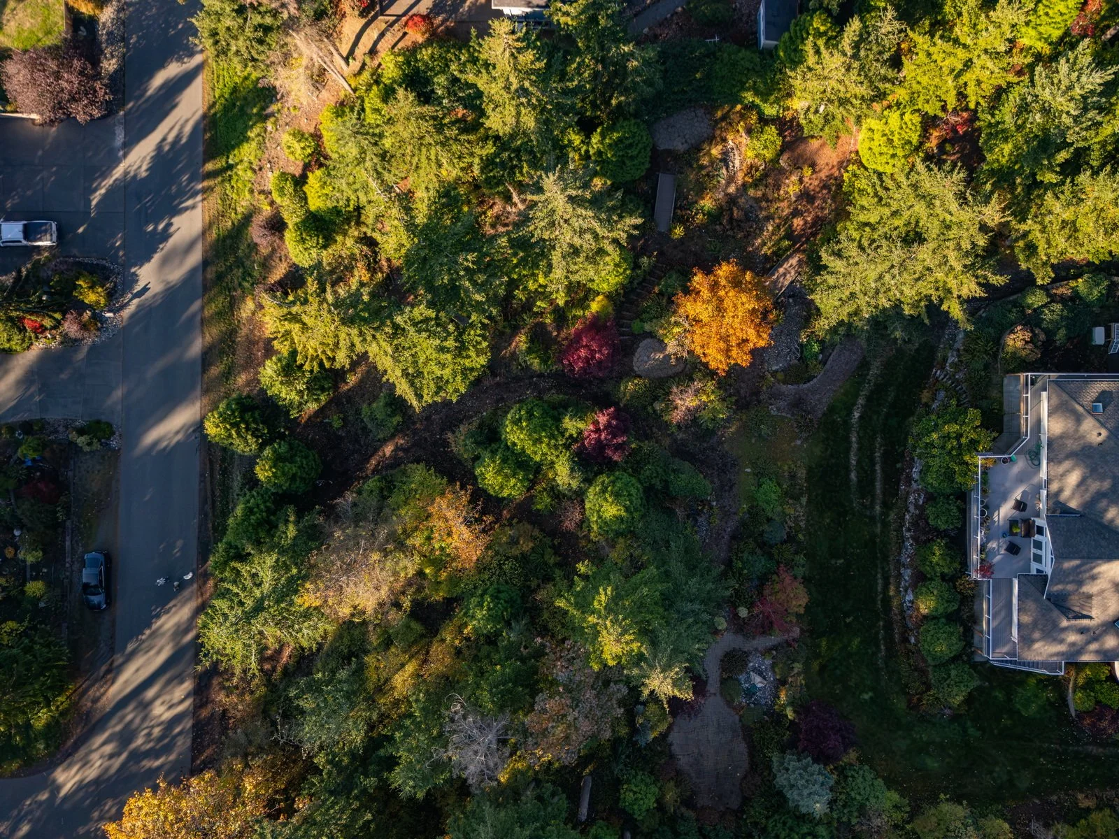 006_145_47th_St_AERIAL_Paulina_Antczak.jpg