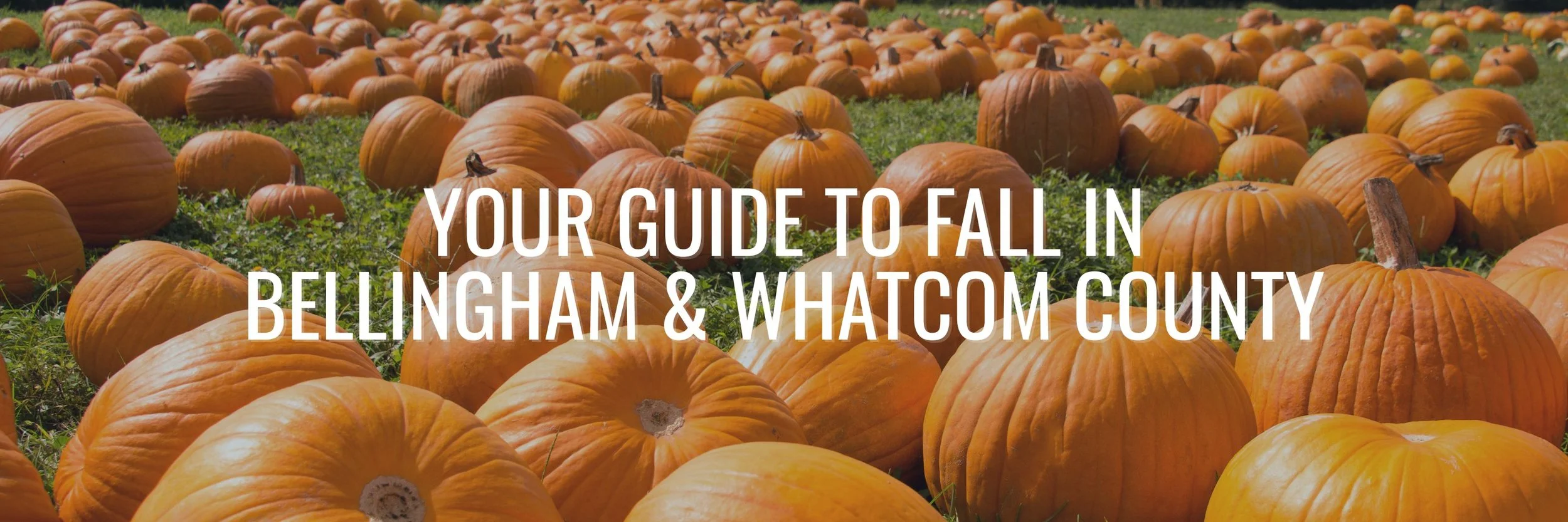 Your Guide to Fall in Bellingham & Whatcom County | PAULINA + JACSON ...