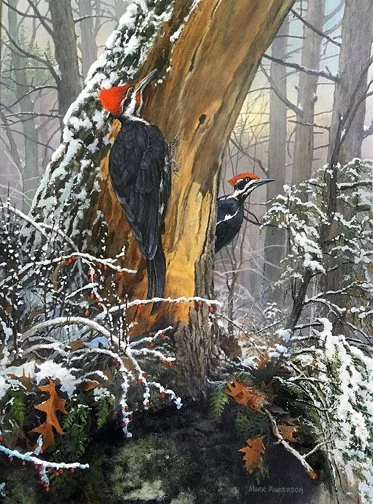 Pileated Pair