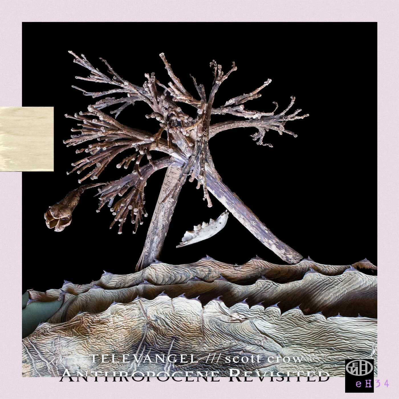 Televangel / scott crow - Anthropocene Blues Revisited - EP