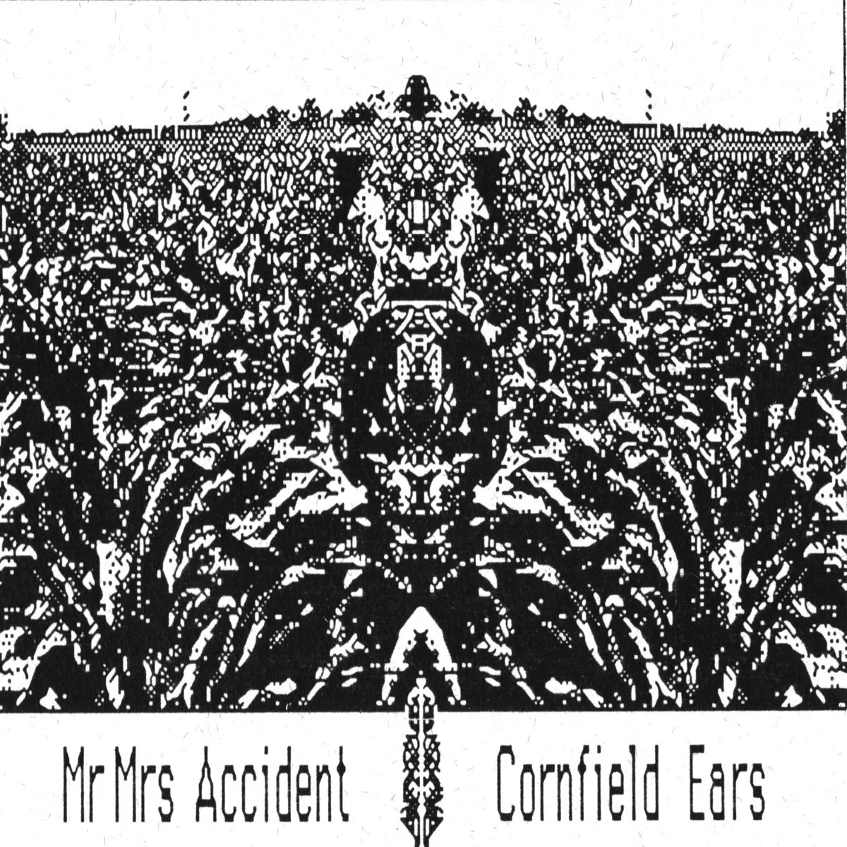 Mr Mrs Accident - Cornfield Ears 