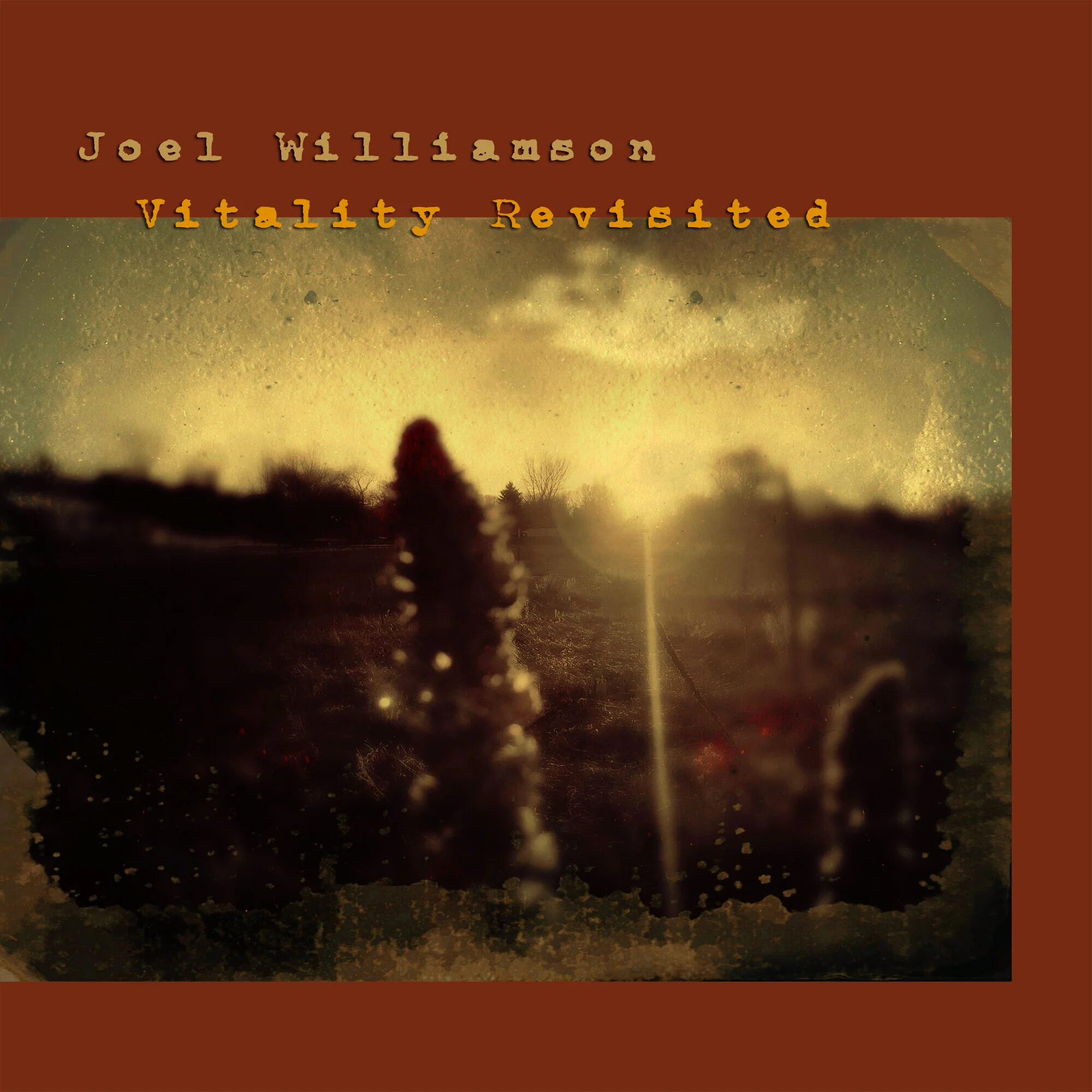 VitalityRevisited+cover.jpg