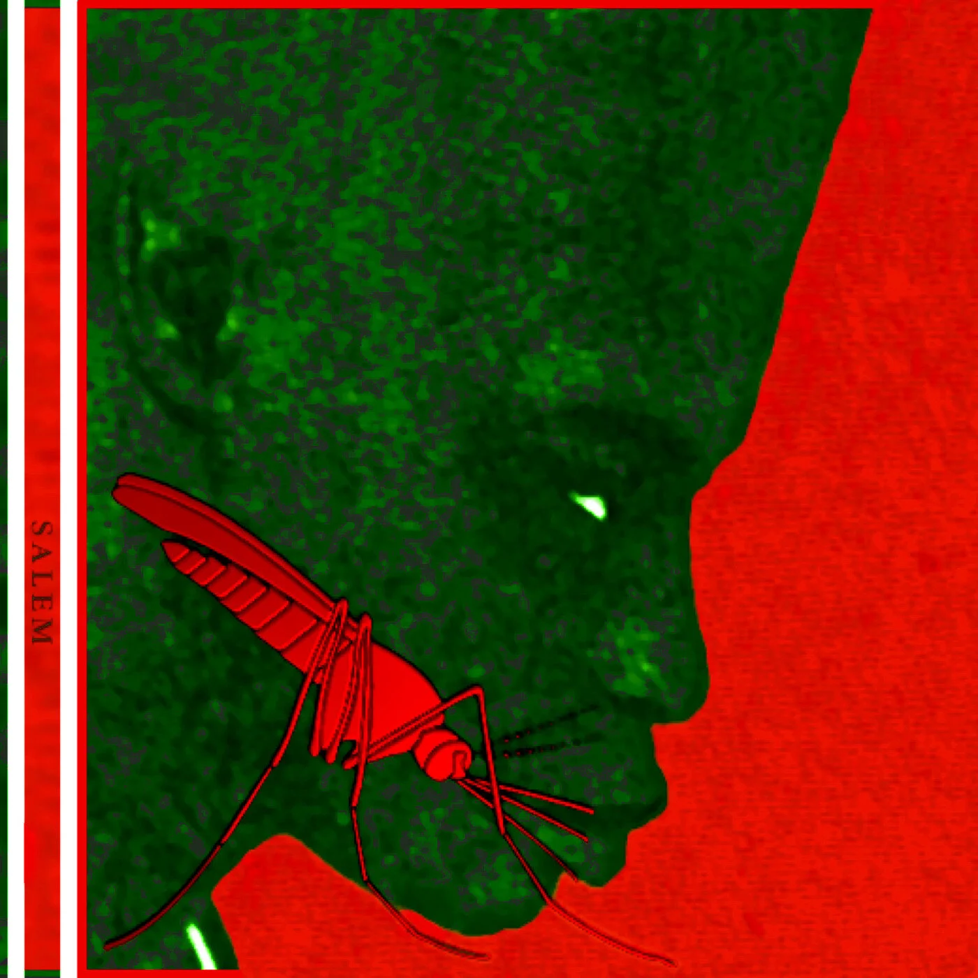 Listening Chamber - salem