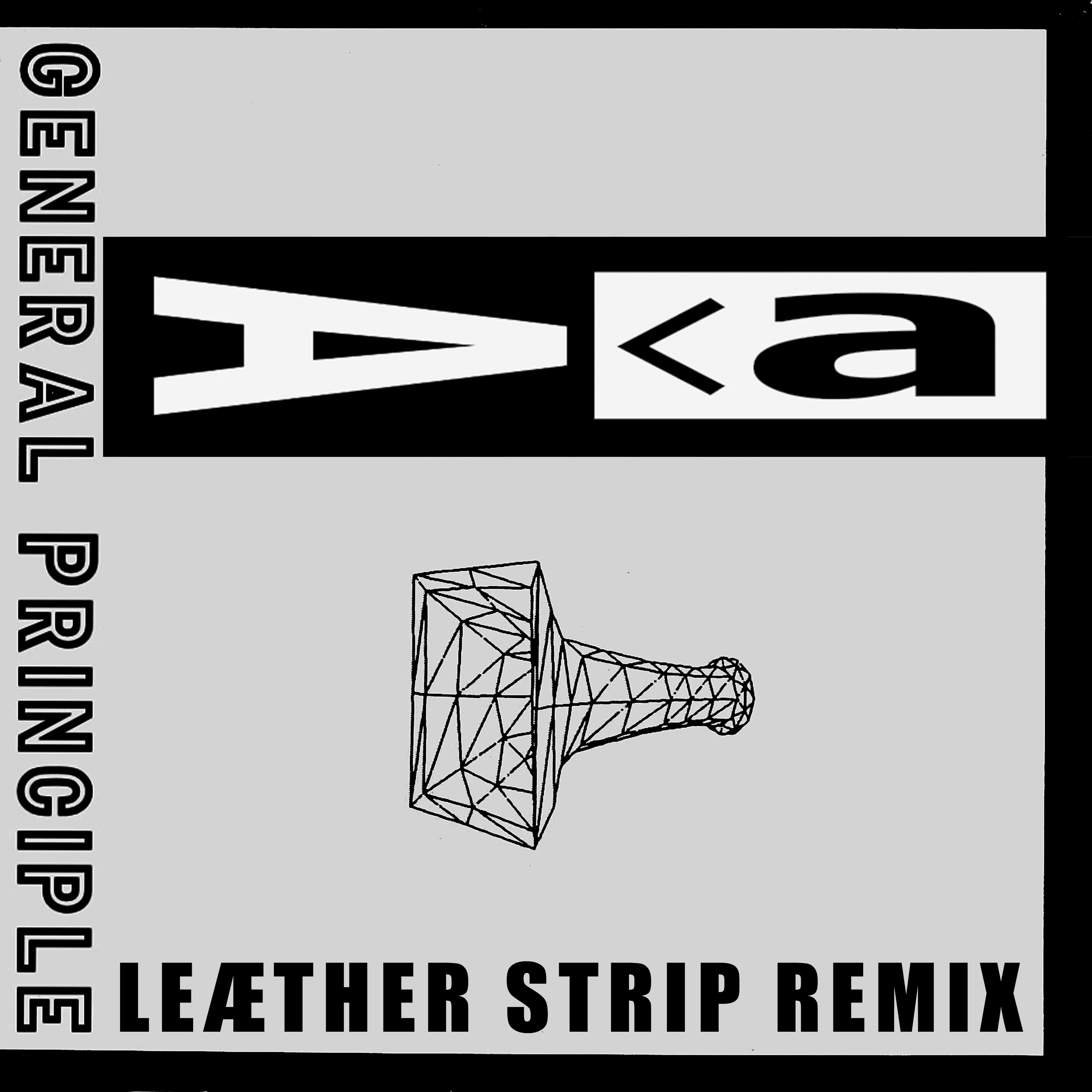 Audio Assualt / scott crow - General Principle (Leæther Strip Remix)