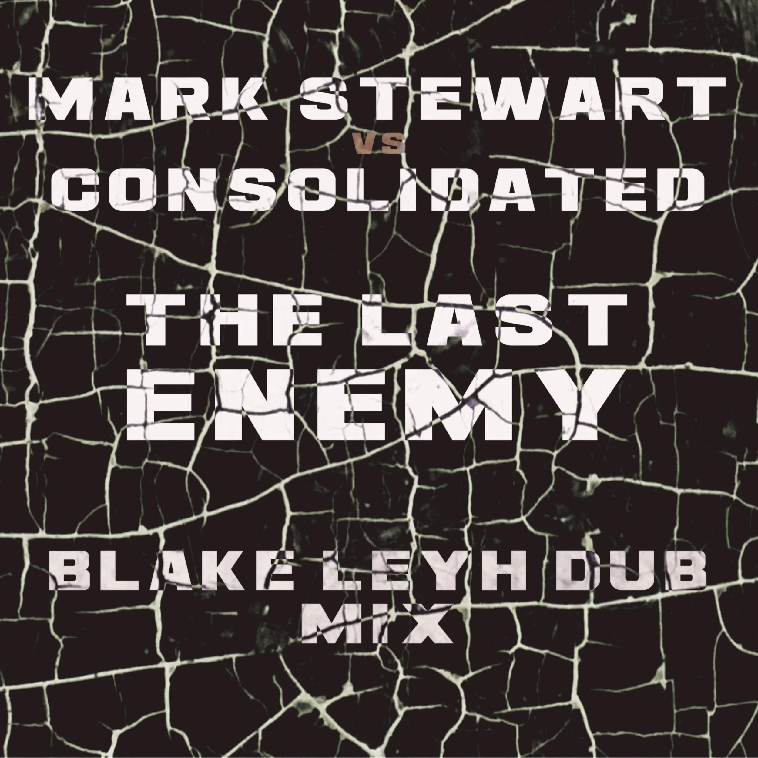 Mark Stewart / Consolidated - The Last Enemy (Blake Leyh Dub Mix) 