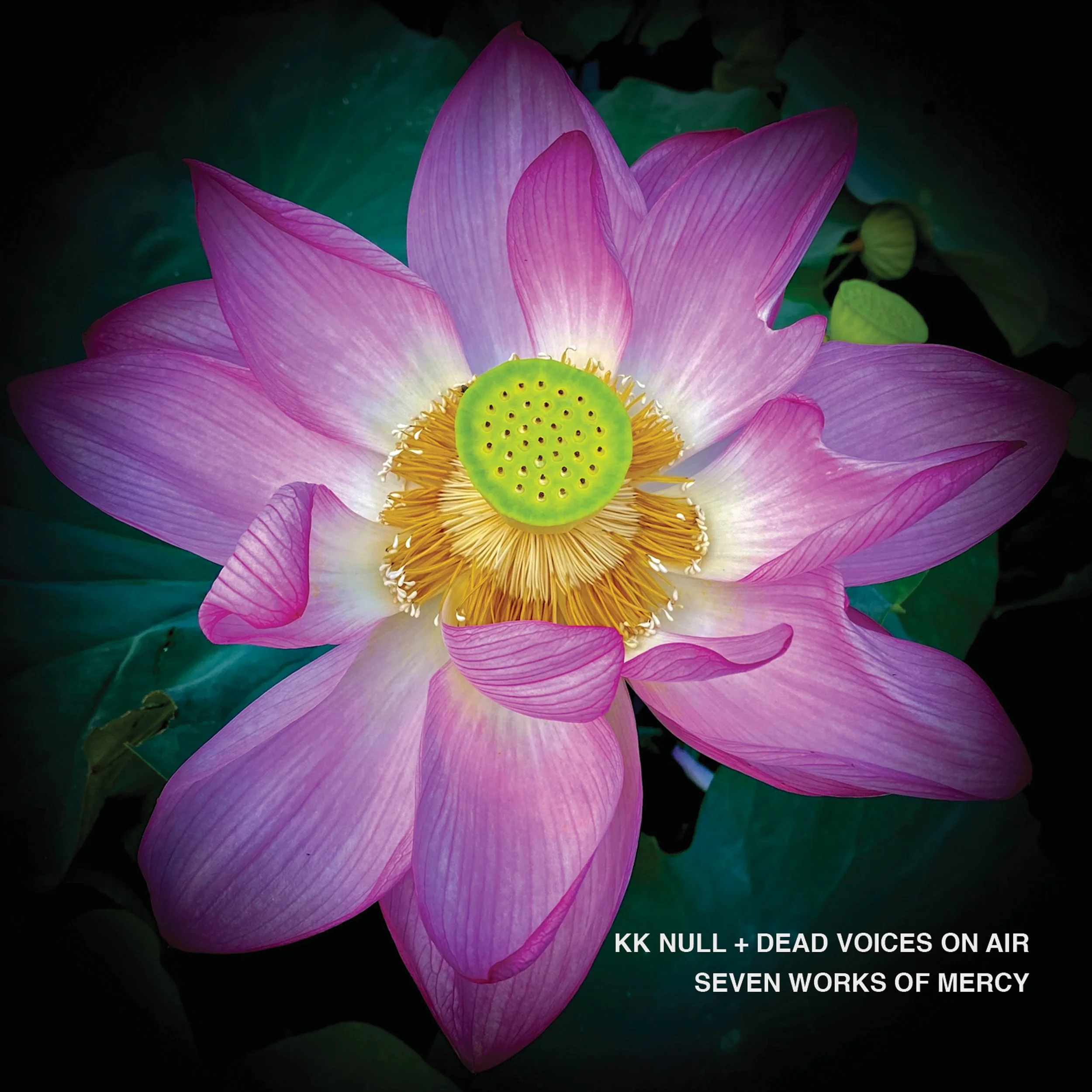 KK Null / Dead Voices On Air - Seven Works of Mercy