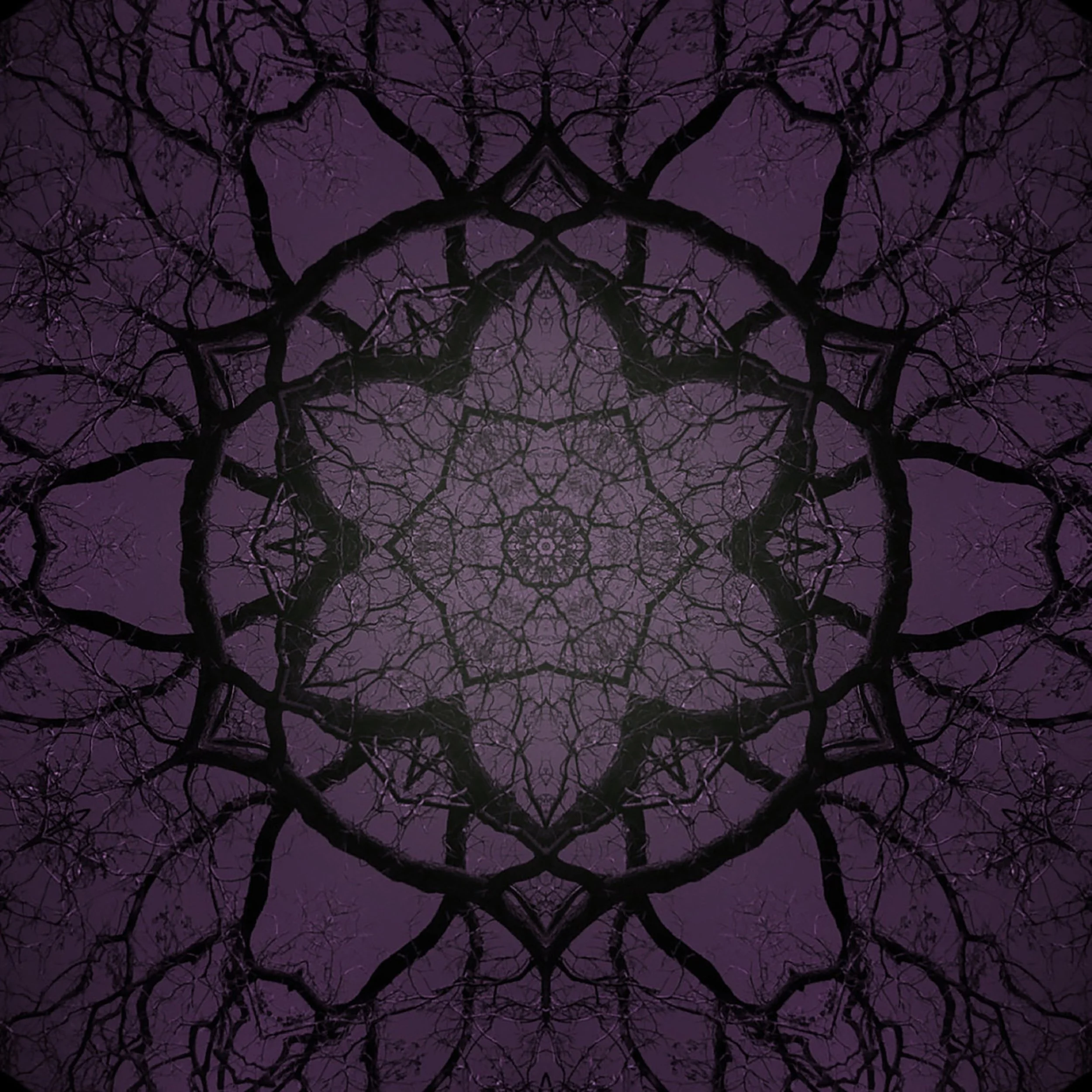 Listening Chamber / David Glenn Smith / Jane Hunt - Violet