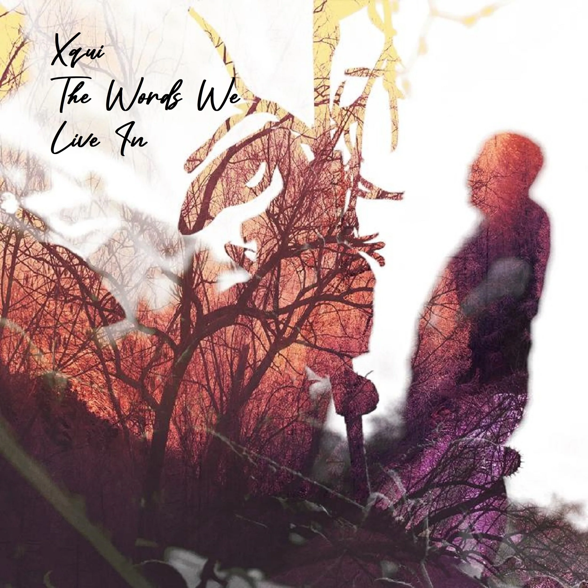 Xqui - The Words We Live In