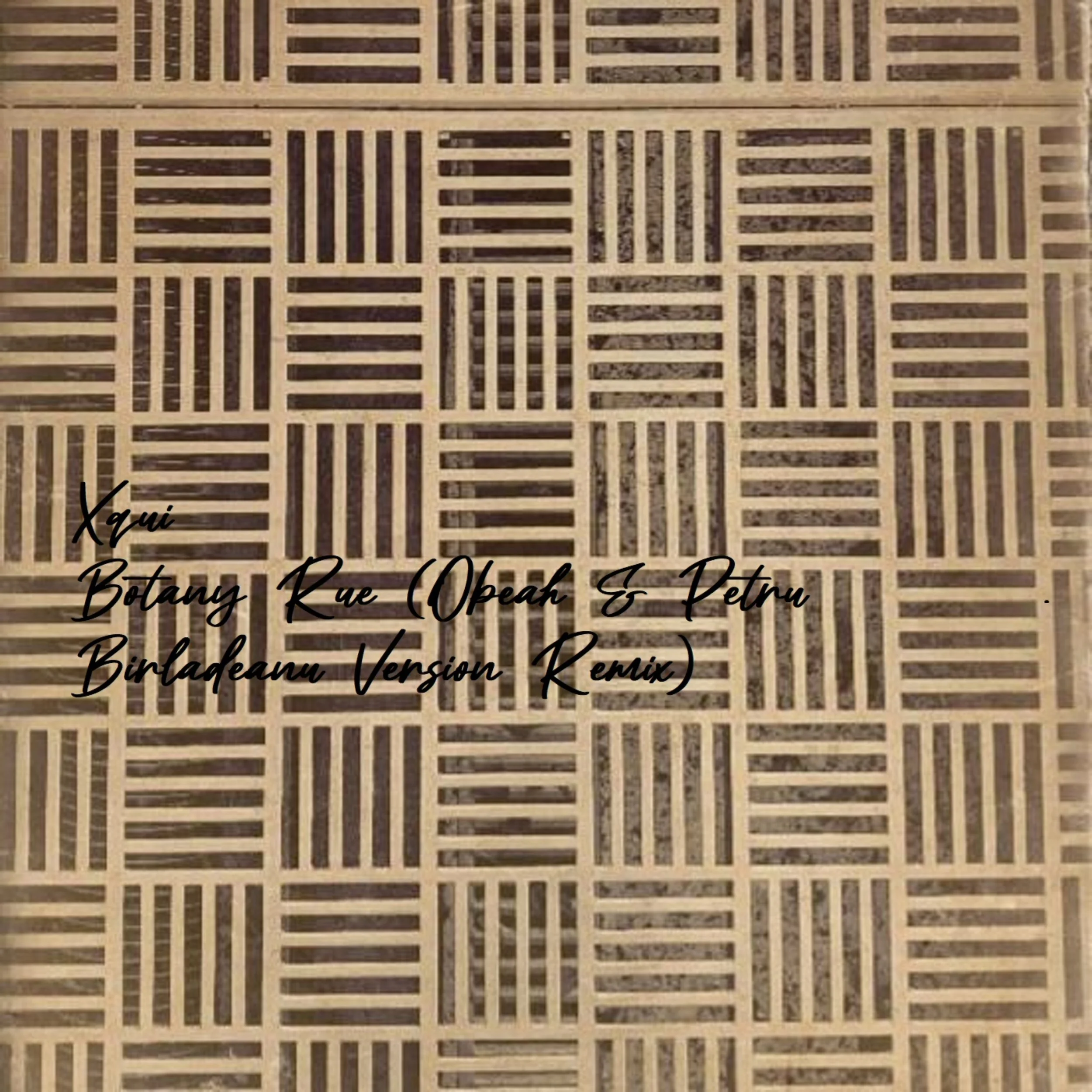 Xqui - Botany Rue&nbsp;- (Lil Obeah &amp; Petru Birladeanu Remix)