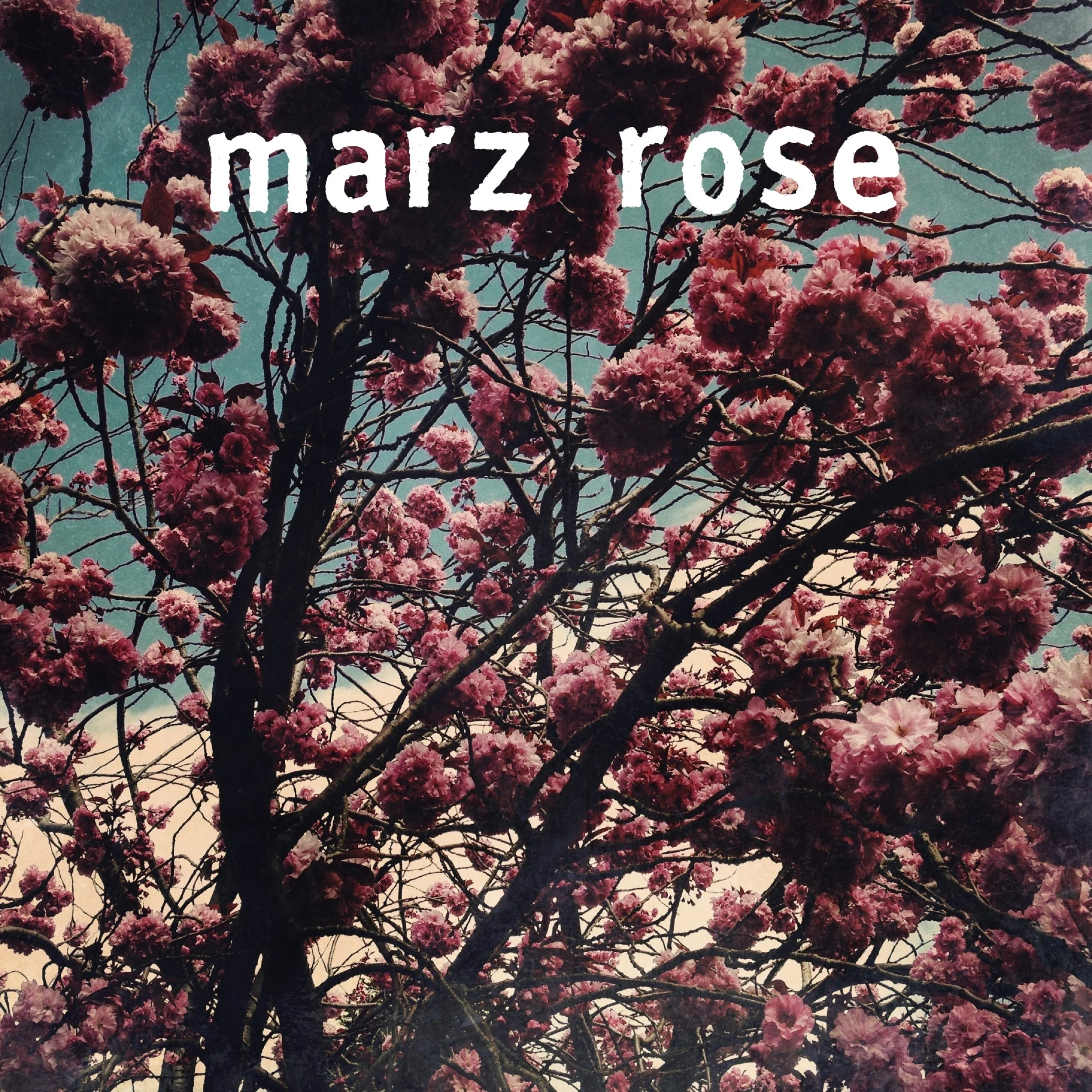 Dead Voices On Air - Marz Rose