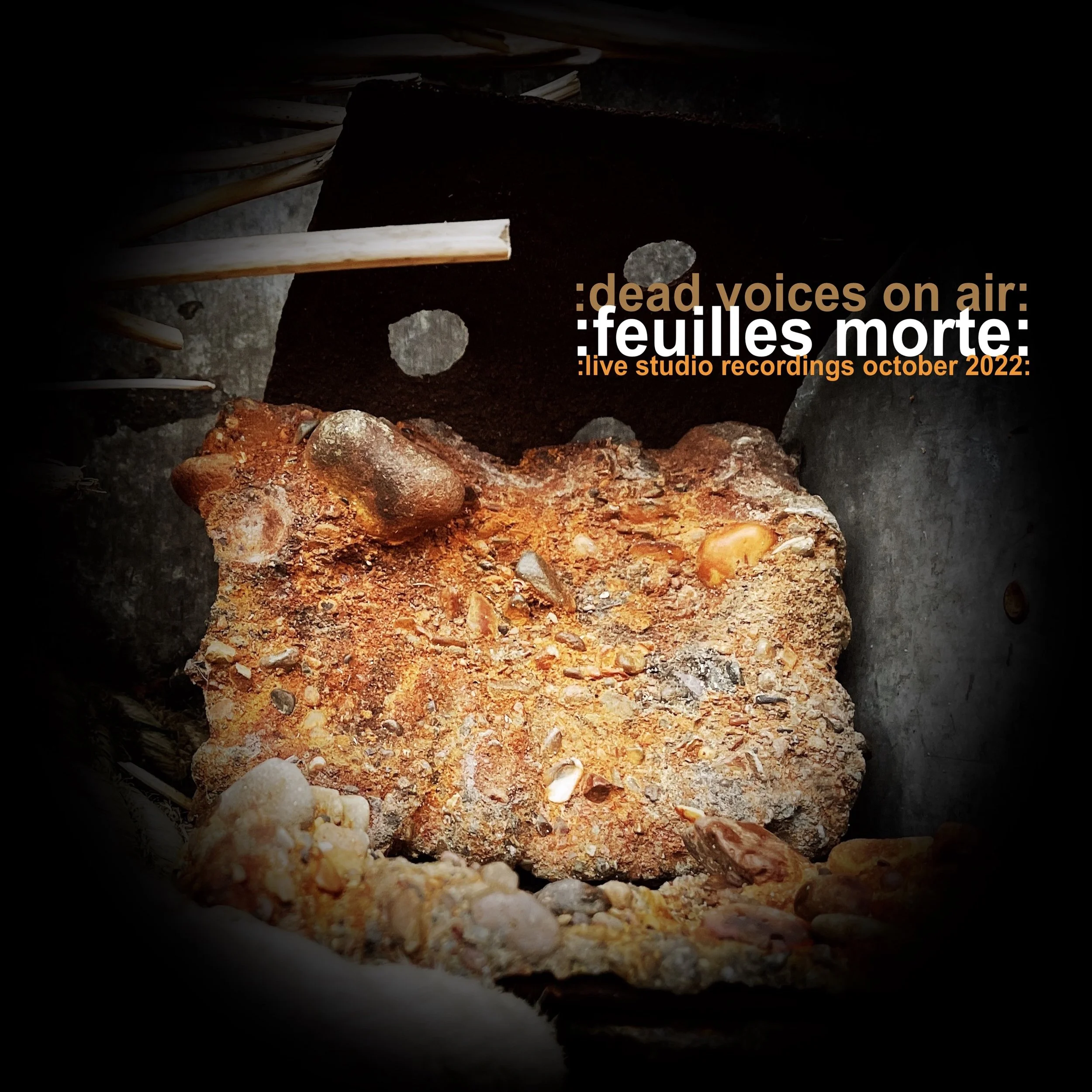 Dead Voices On Air - :feuilles morte: