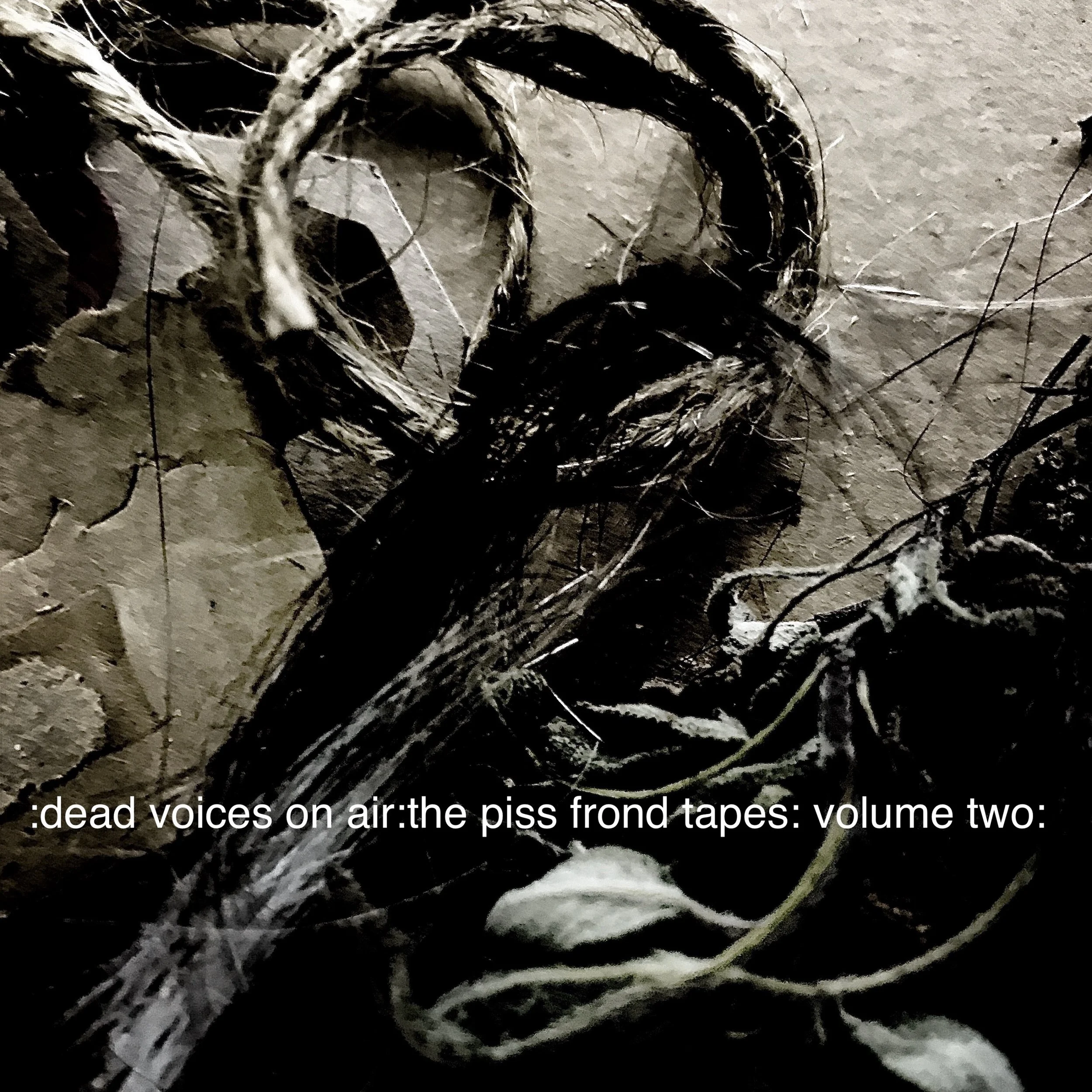 Dead Voices On Air - The Piss Frond Tapes Volume Two