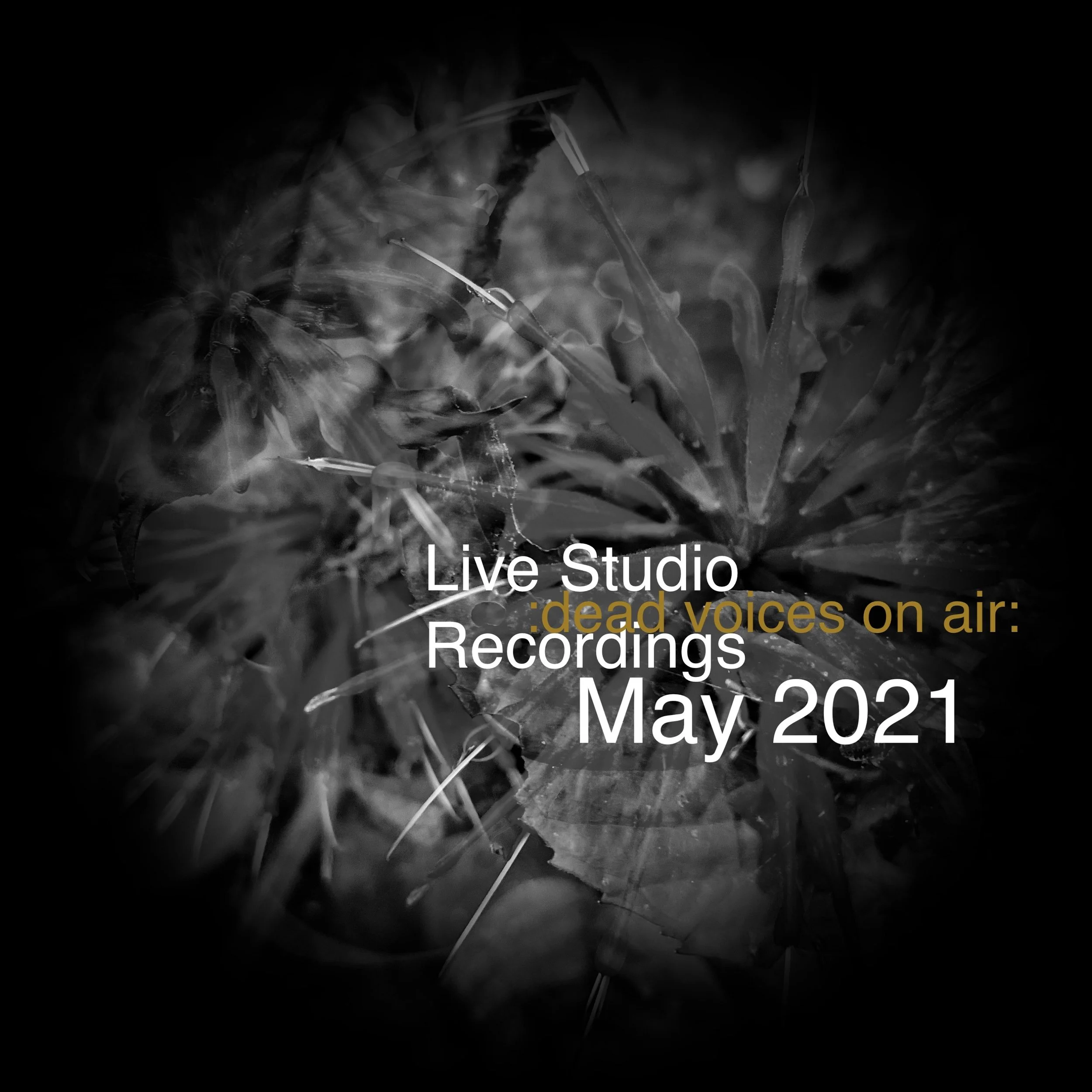 Dead Voices On Air - Live Studio Recordings May 2021