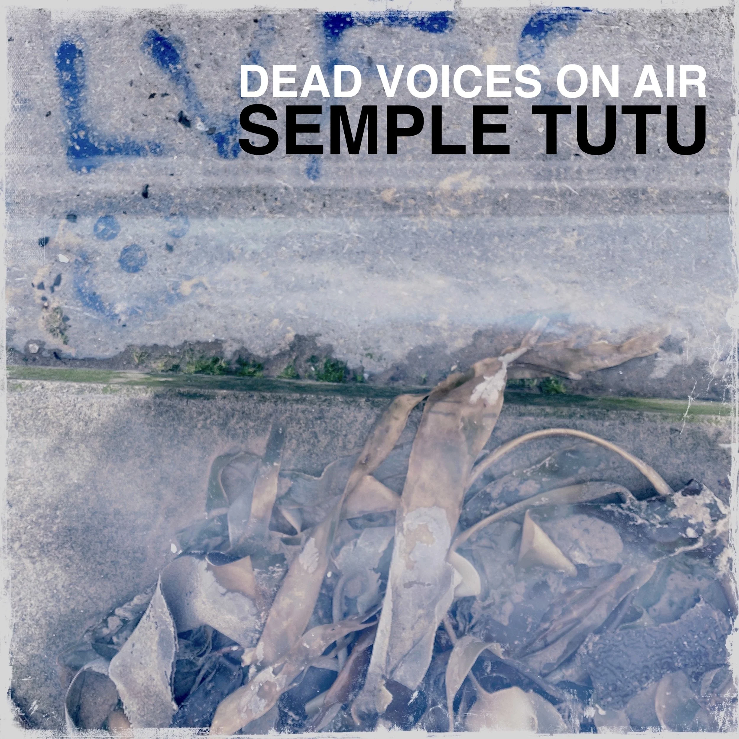 Dead Voices On Air - Semple Tutu