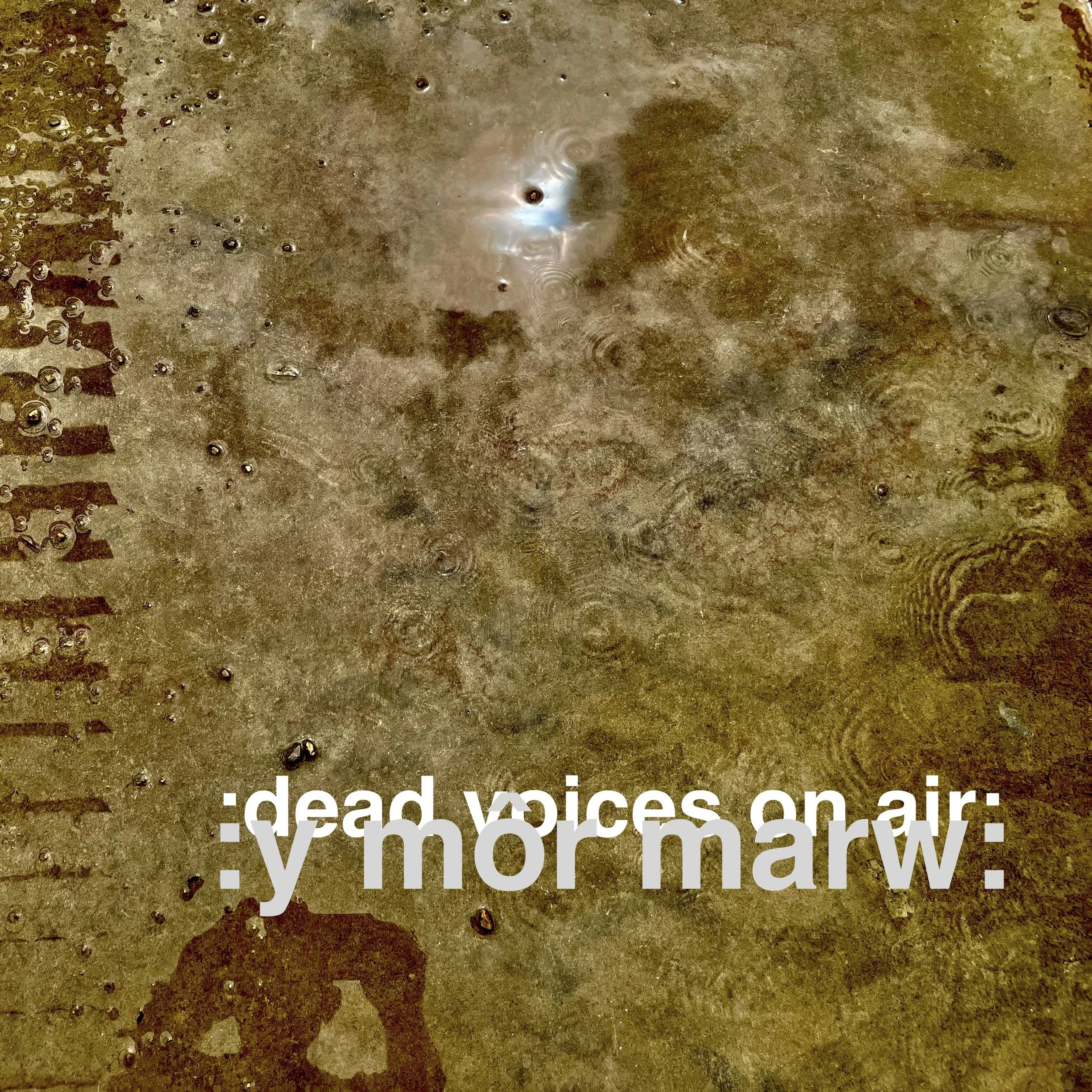 Dead Voices On Air - :y m ô r marw: