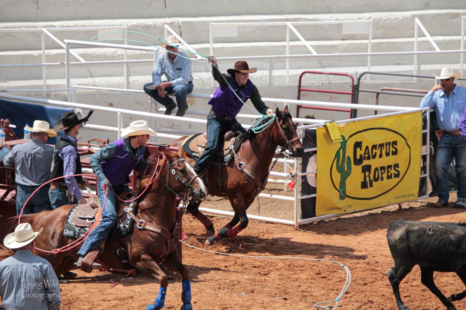 Will this year's Tarleton rodeo team bring home a National Championship ...