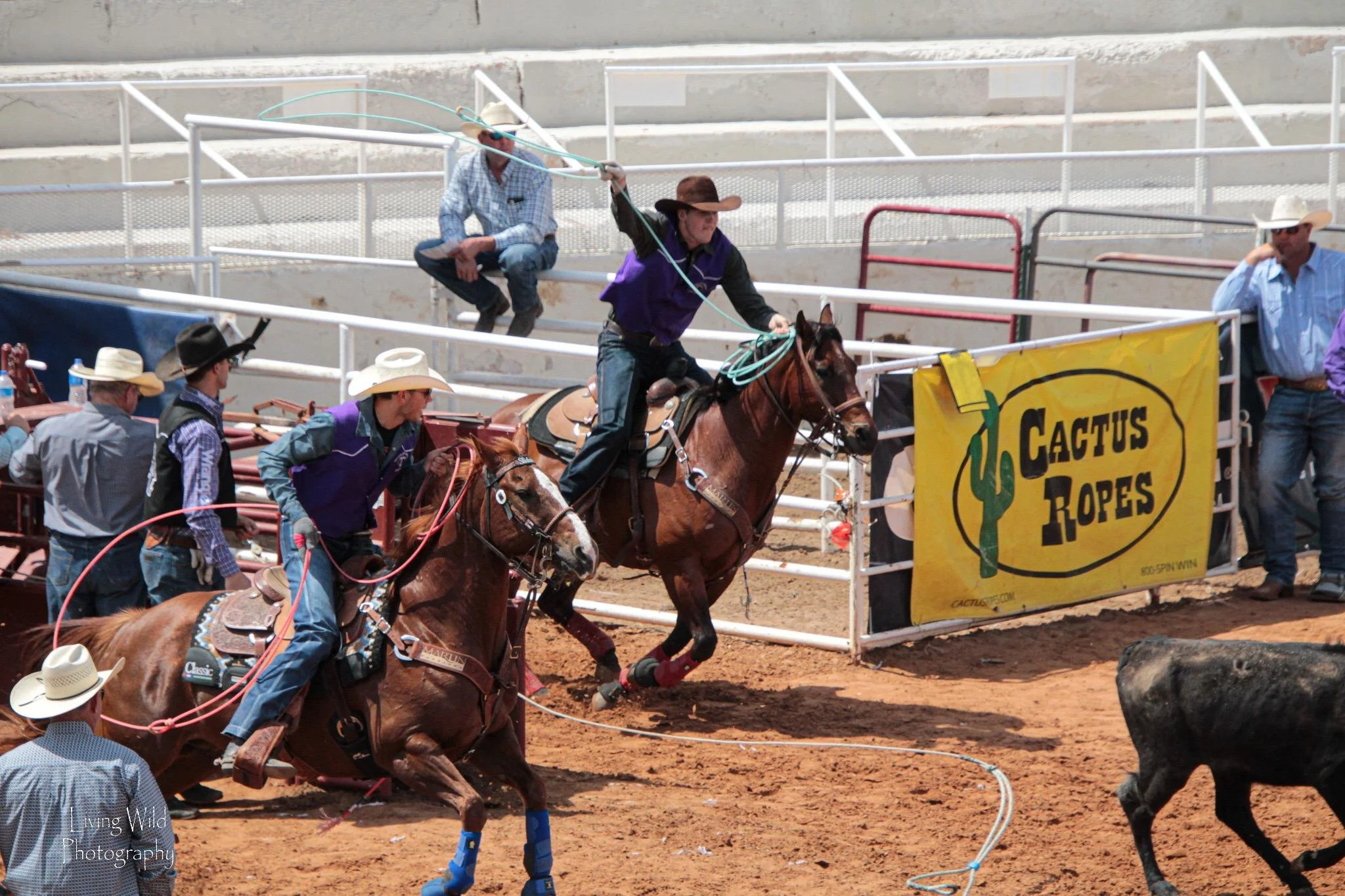 Will this year's Tarleton rodeo team bring home a National Championship ...