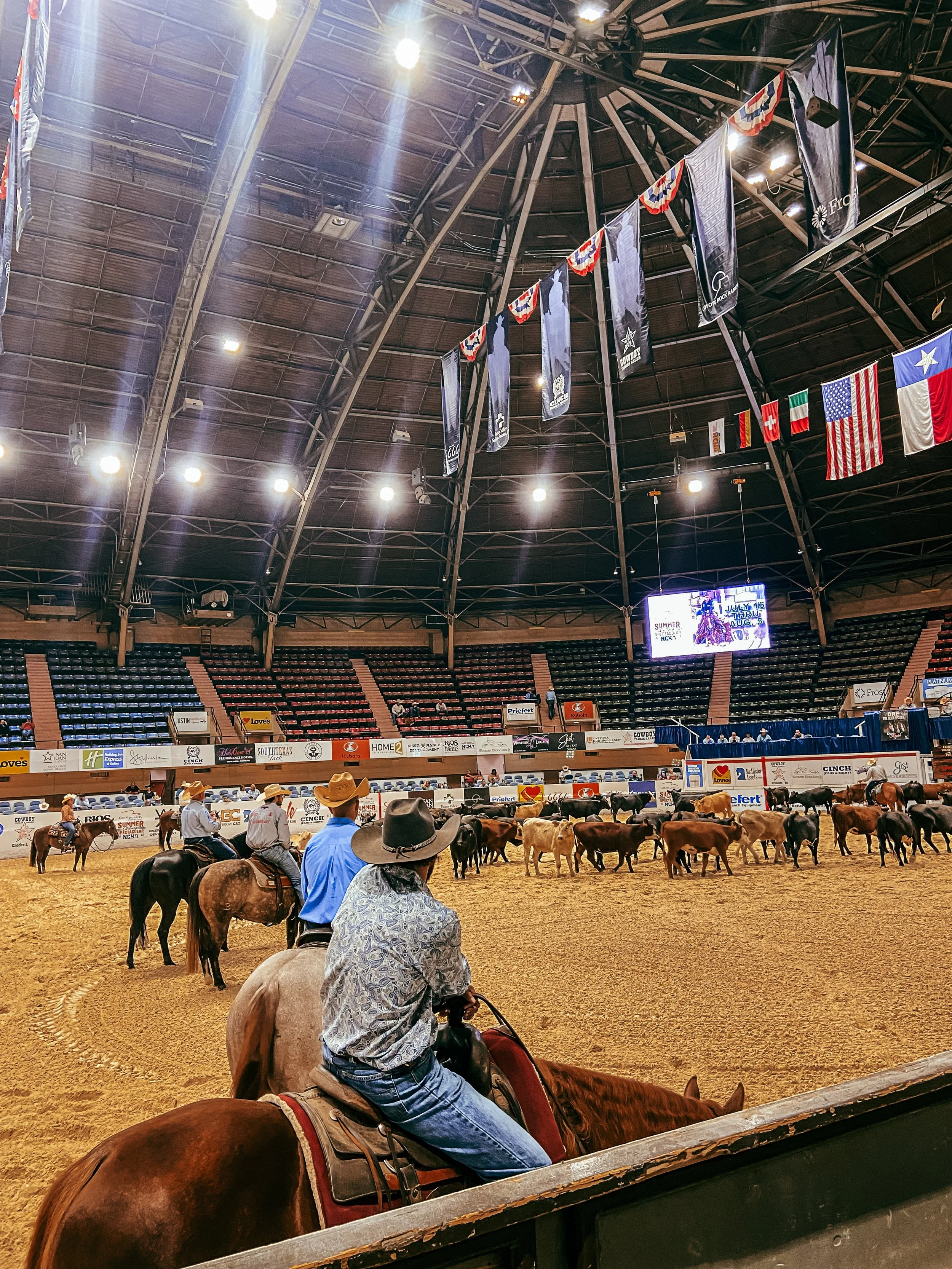 Horse Cutting; Not Just a Lifestyle, But a Passion