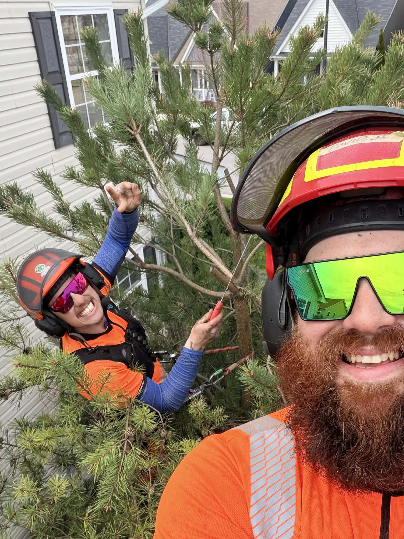Two Arborists wearing helmets and bright orange uniforms are trimming a tree in front of a house. One Arborist is smiling and pointing at the tree, while the other is using a saw to cut branches.