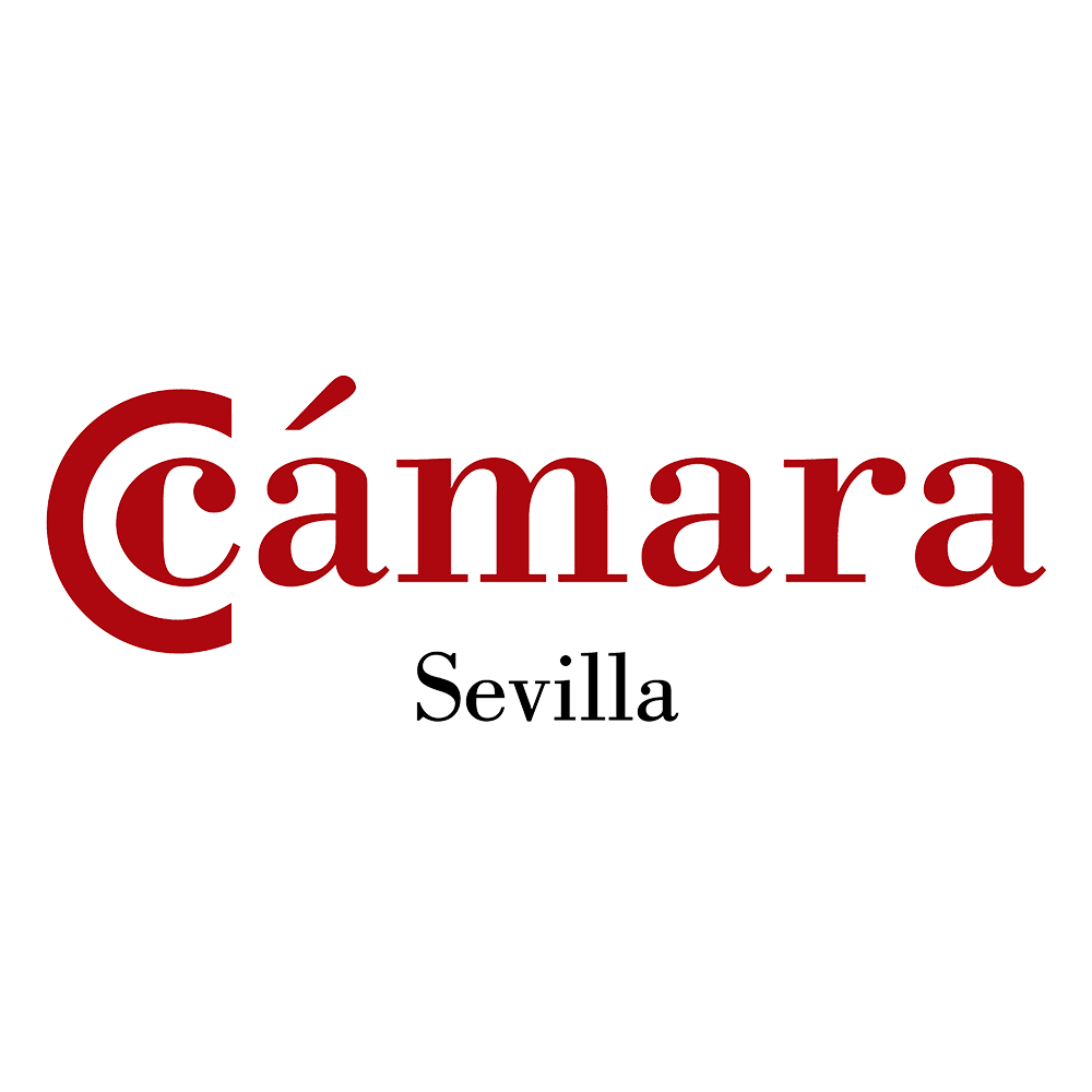 CAMARAdeCOMERCIO.png