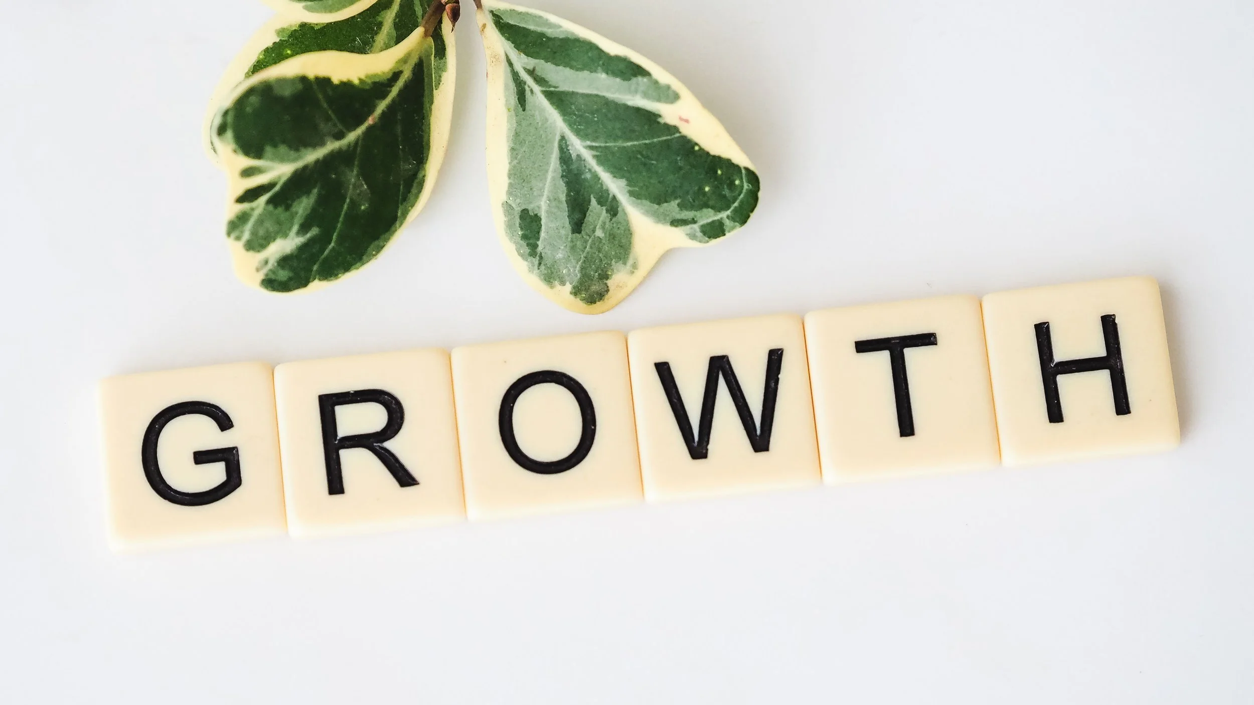 How Small Businesses Can Drive Growth with Practical Innovation